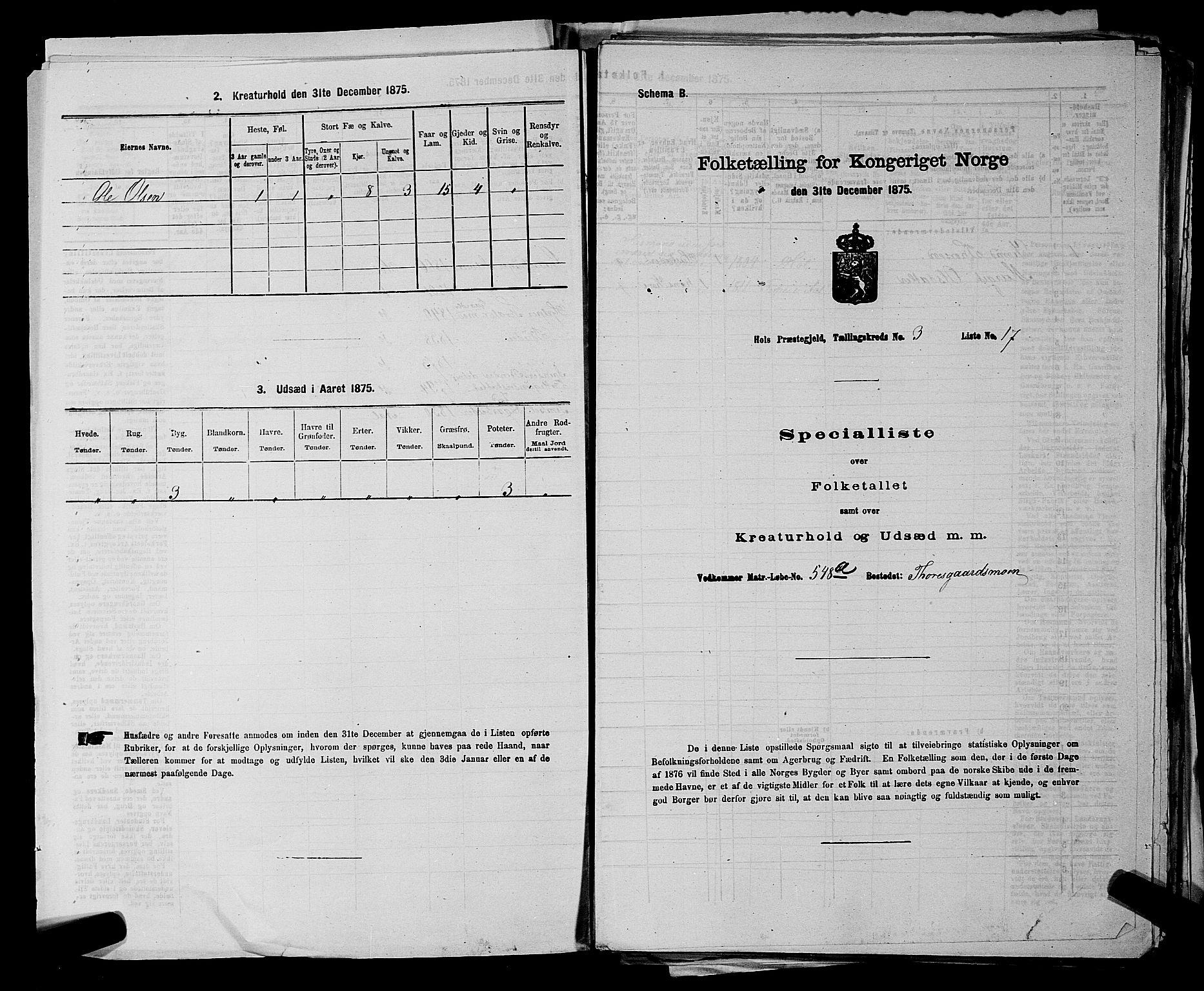 SAKO, Folketelling 1875 for 0620P Hol prestegjeld, 1875, s. 312