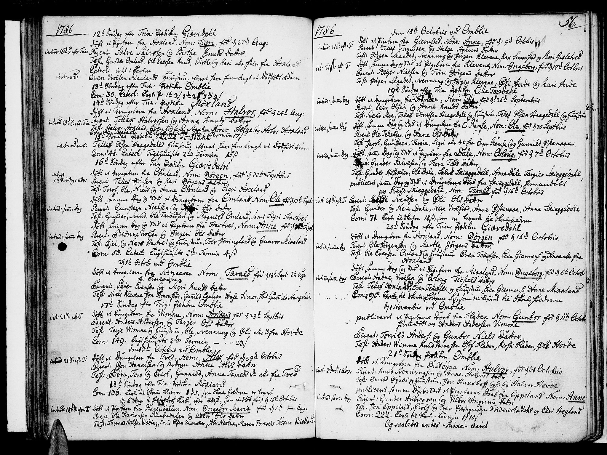 Åmli sokneprestkontor, AV/SAK-1111-0050/F/Fa/Fac/L0004: Ministerialbok nr. A 4, 1775-1796, s. 56