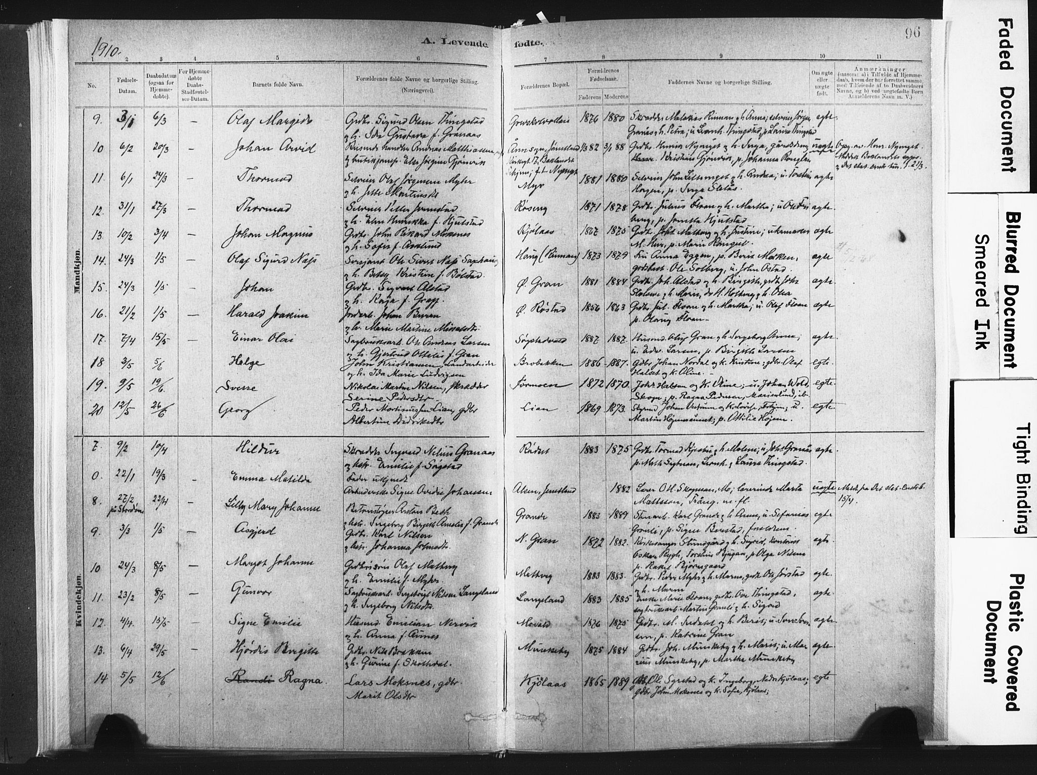 Ministerialprotokoller, klokkerbøker og fødselsregistre - Nord-Trøndelag, SAT/A-1458/721/L0207: Ministerialbok nr. 721A02, 1880-1911, s. 96