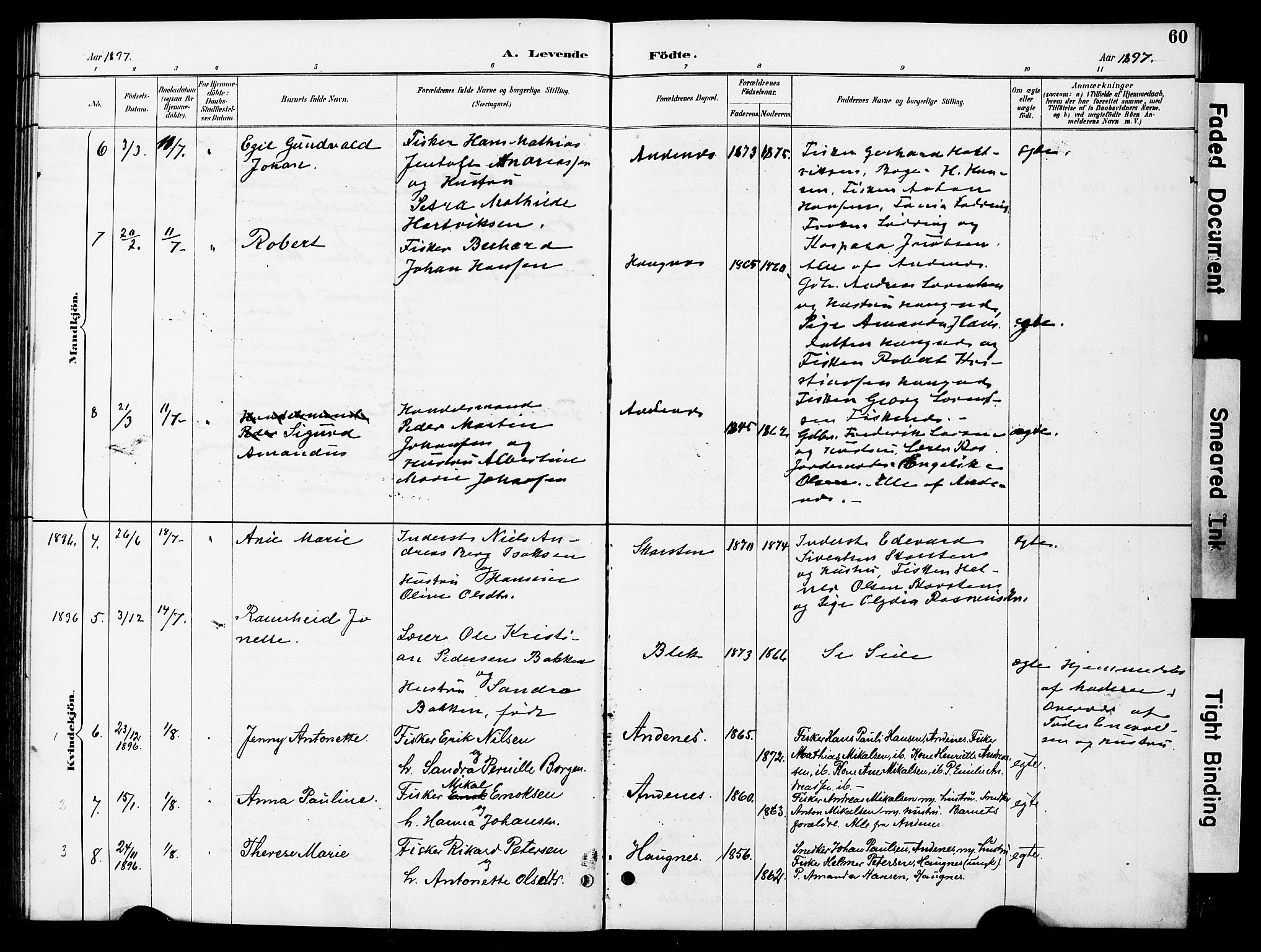 Ministerialprotokoller, klokkerbøker og fødselsregistre - Nordland, AV/SAT-A-1459/899/L1448: Klokkerbok nr. 899C03, 1887-1902, s. 60