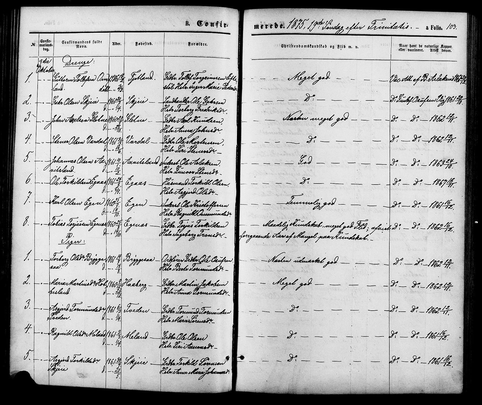 Hægebostad sokneprestkontor, AV/SAK-1111-0024/F/Fa/Fab/L0003: Ministerialbok nr. A 3, 1872-1886, s. 103