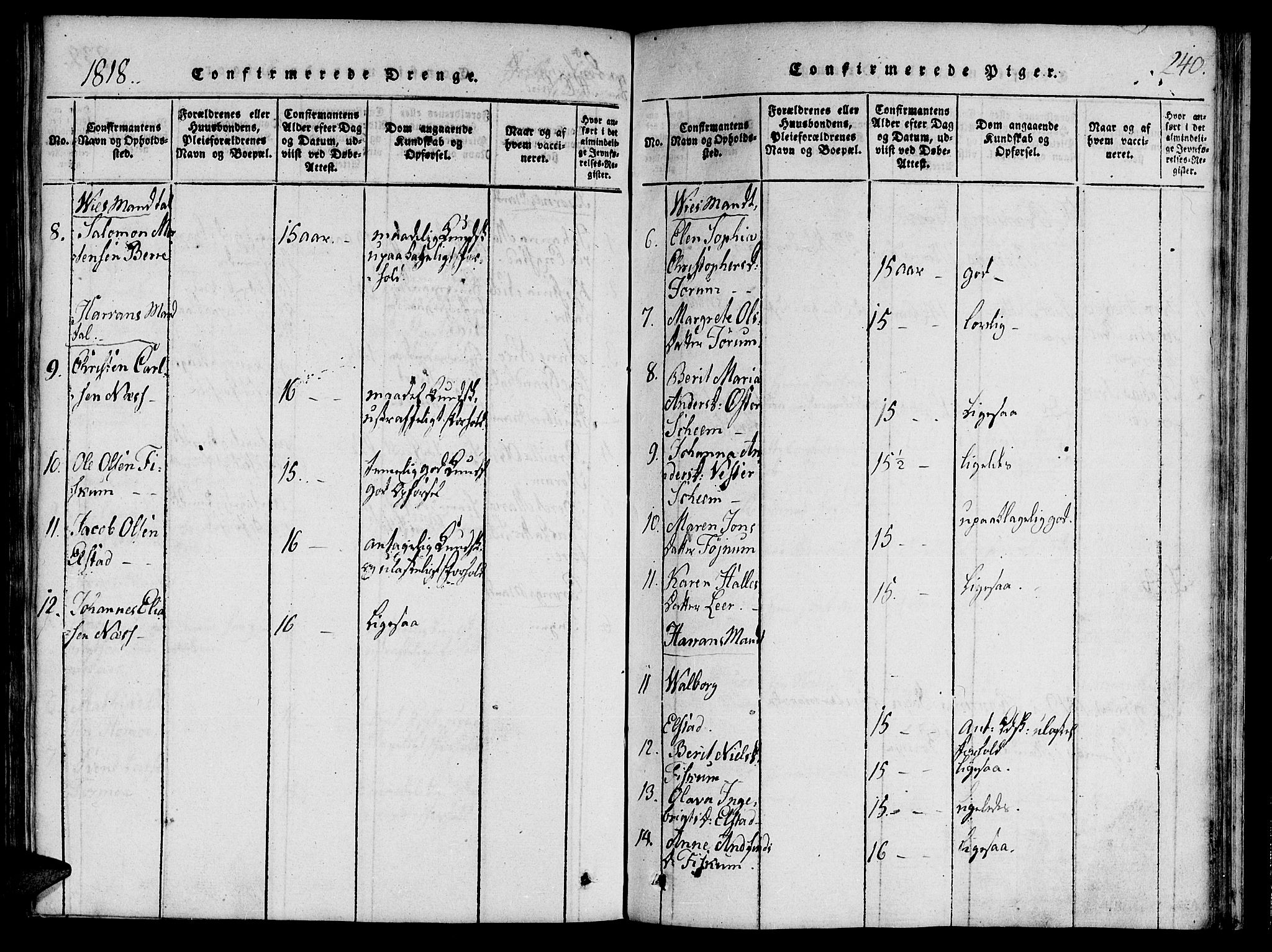 Ministerialprotokoller, klokkerbøker og fødselsregistre - Nord-Trøndelag, SAT/A-1458/764/L0546: Ministerialbok nr. 764A06 /1, 1816-1823, s. 240