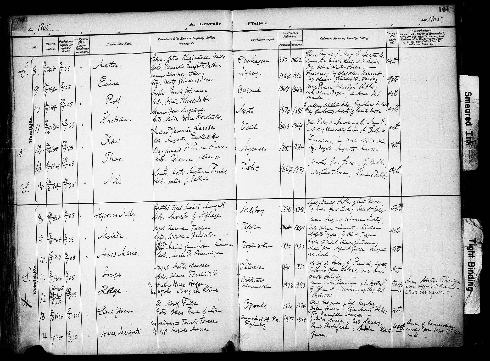 Elverum prestekontor, AV/SAH-PREST-044/H/Ha/Haa/L0014: Ministerialbok nr. 14, 1891-1909, s. 164