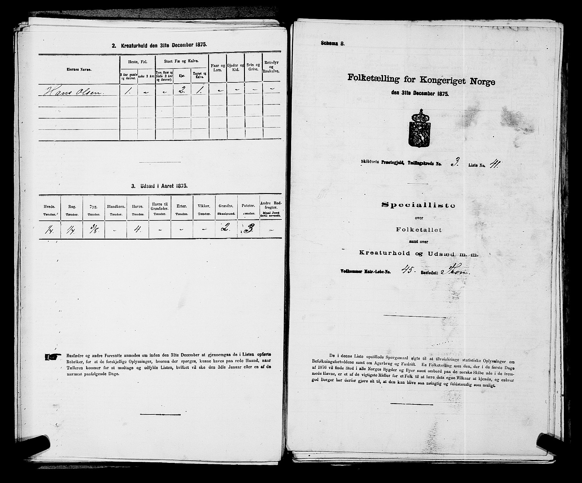 RA, Folketelling 1875 for 0127P Skiptvet prestegjeld, 1875, s. 508