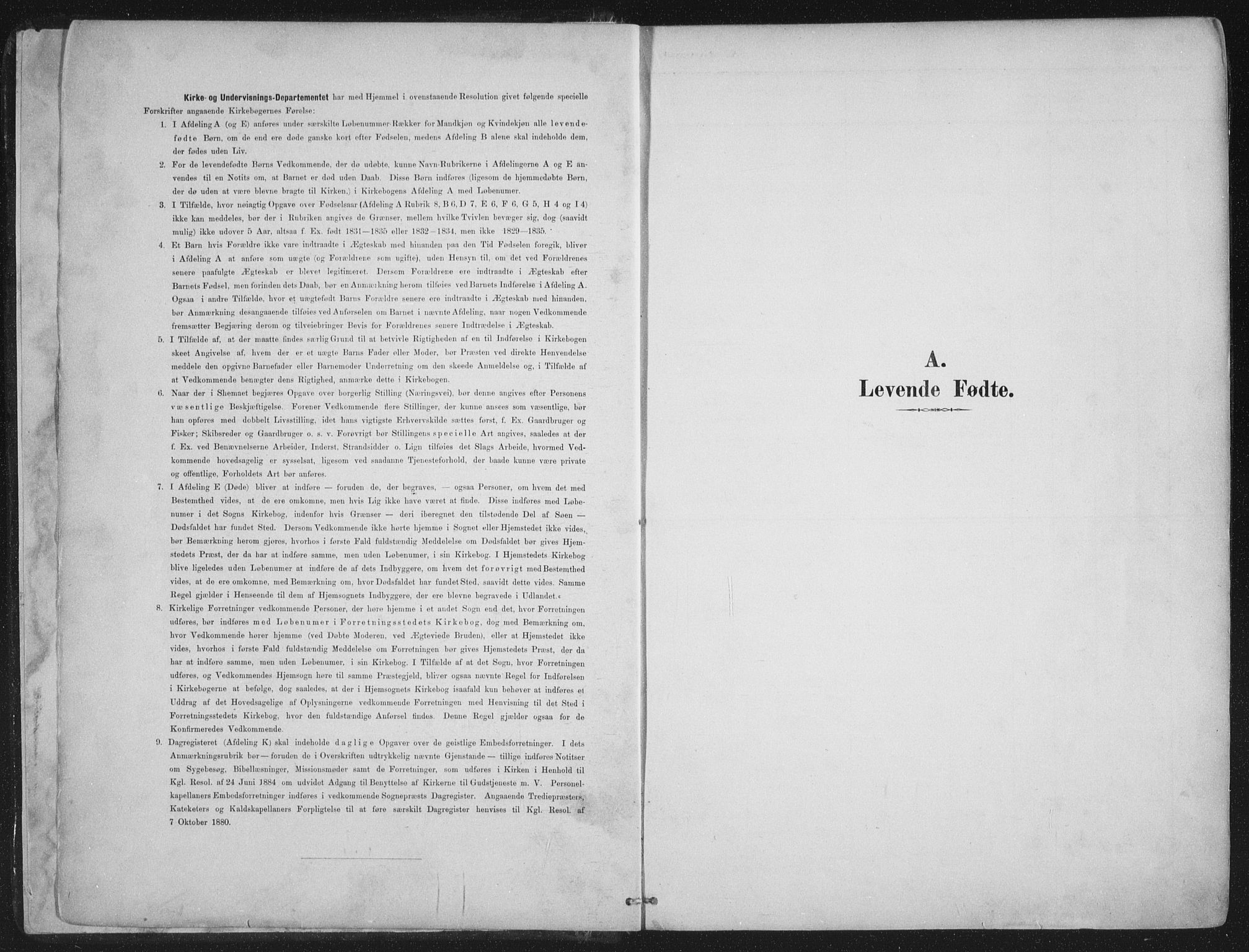 Ministerialprotokoller, klokkerbøker og fødselsregistre - Nordland, SAT/A-1459/888/L1246: Ministerialbok nr. 888A12, 1891-1903