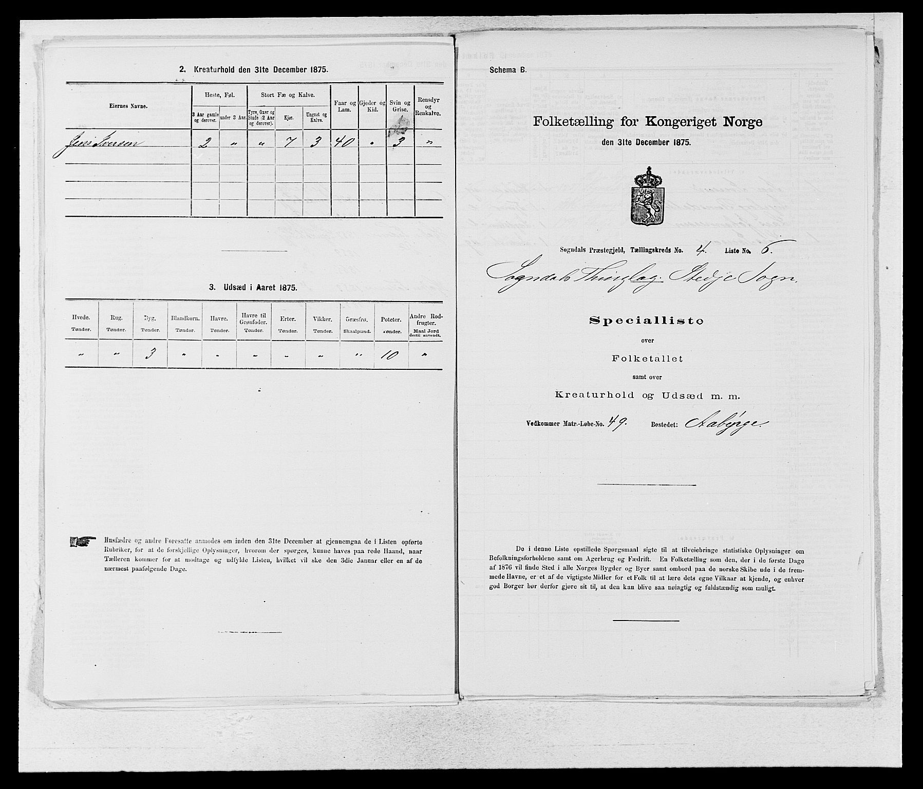 SAB, Folketelling 1875 for 1420P Sogndal prestegjeld, 1875, s. 308