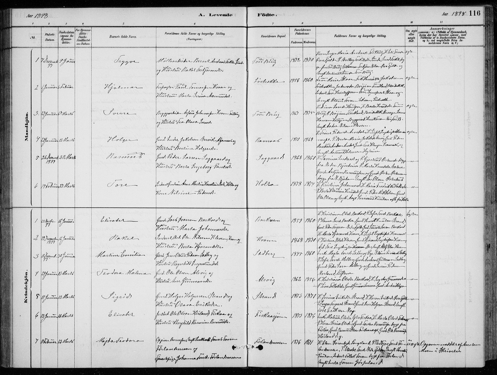 Strand sokneprestkontor, AV/SAST-A-101828/H/Ha/Hab/L0004: Klokkerbok nr. B 4, 1878-1903, s. 116