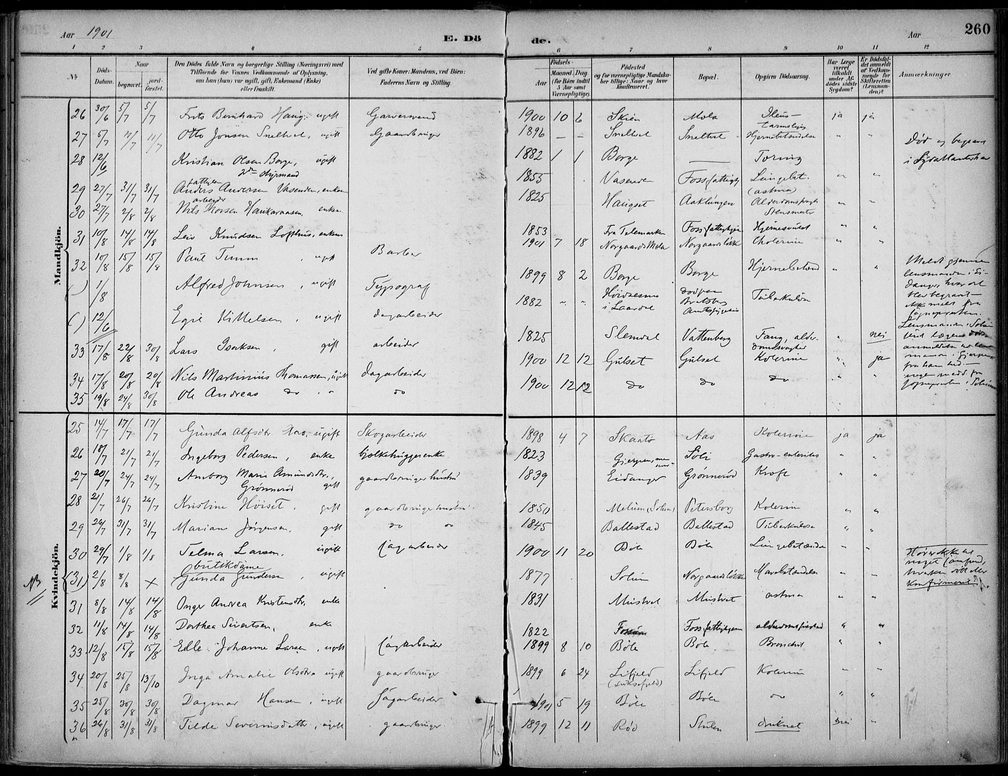 Gjerpen kirkebøker, AV/SAKO-A-265/F/Fa/L0011: Ministerialbok nr. I 11, 1896-1904, s. 260