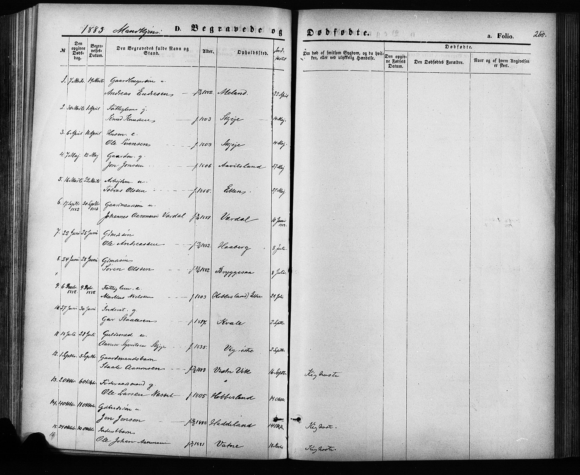 Hægebostad sokneprestkontor, SAK/1111-0024/F/Fa/Fab/L0003: Ministerialbok nr. A 3, 1872-1886, s. 260