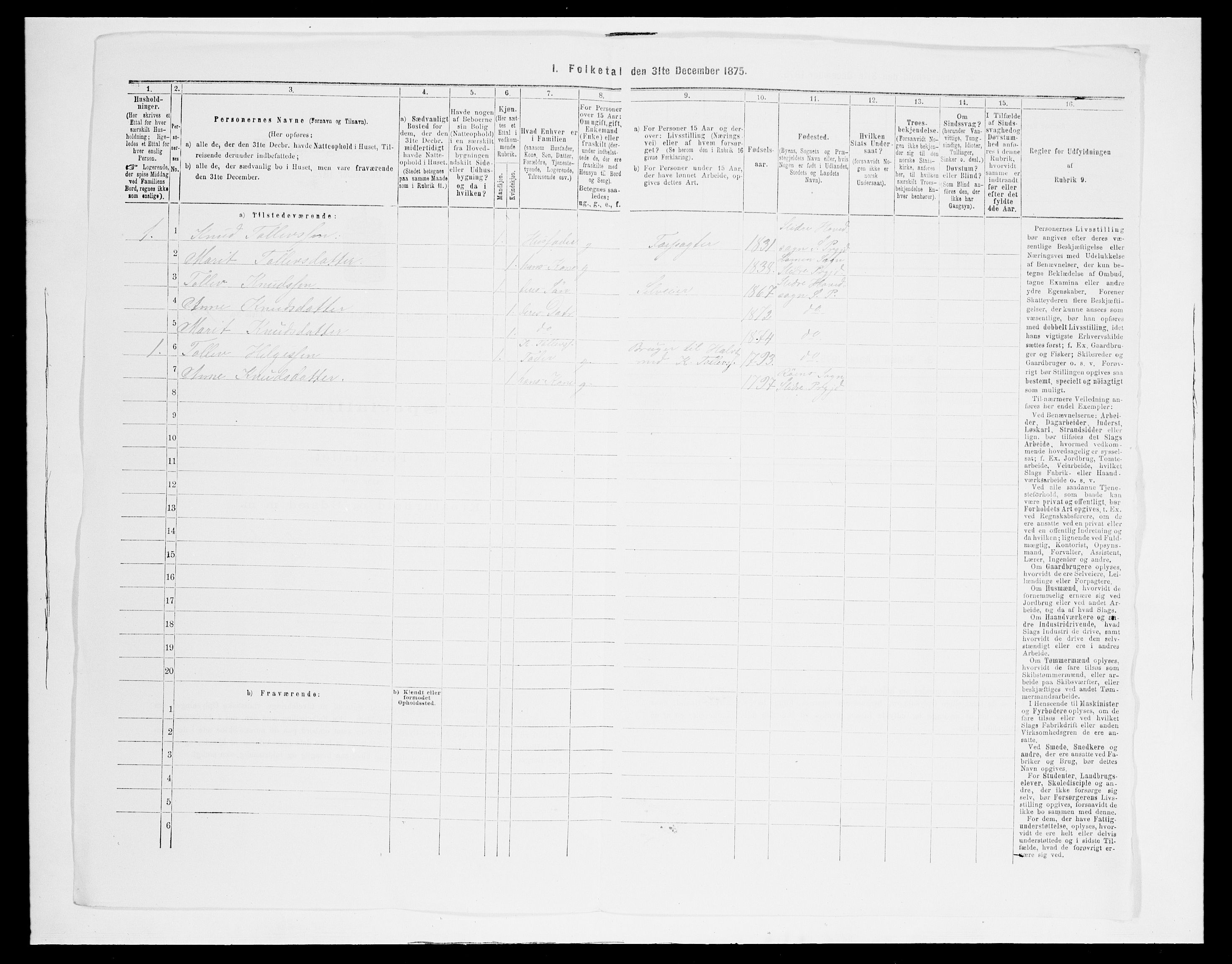 SAH, Folketelling 1875 for 0543P Vestre Slidre prestegjeld, 1875, s. 529