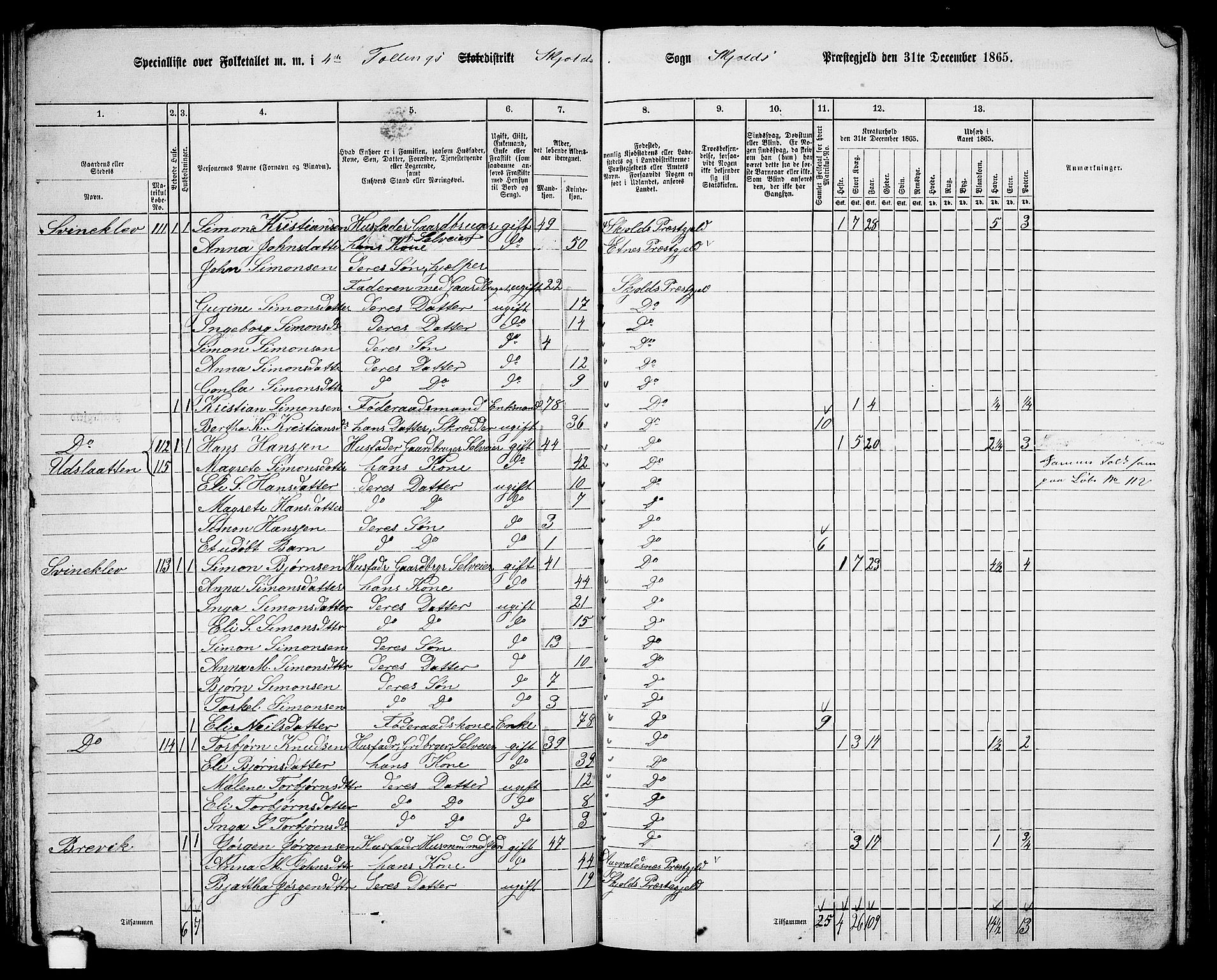 RA, Folketelling 1865 for 1154P Skjold prestegjeld, 1865, s. 55