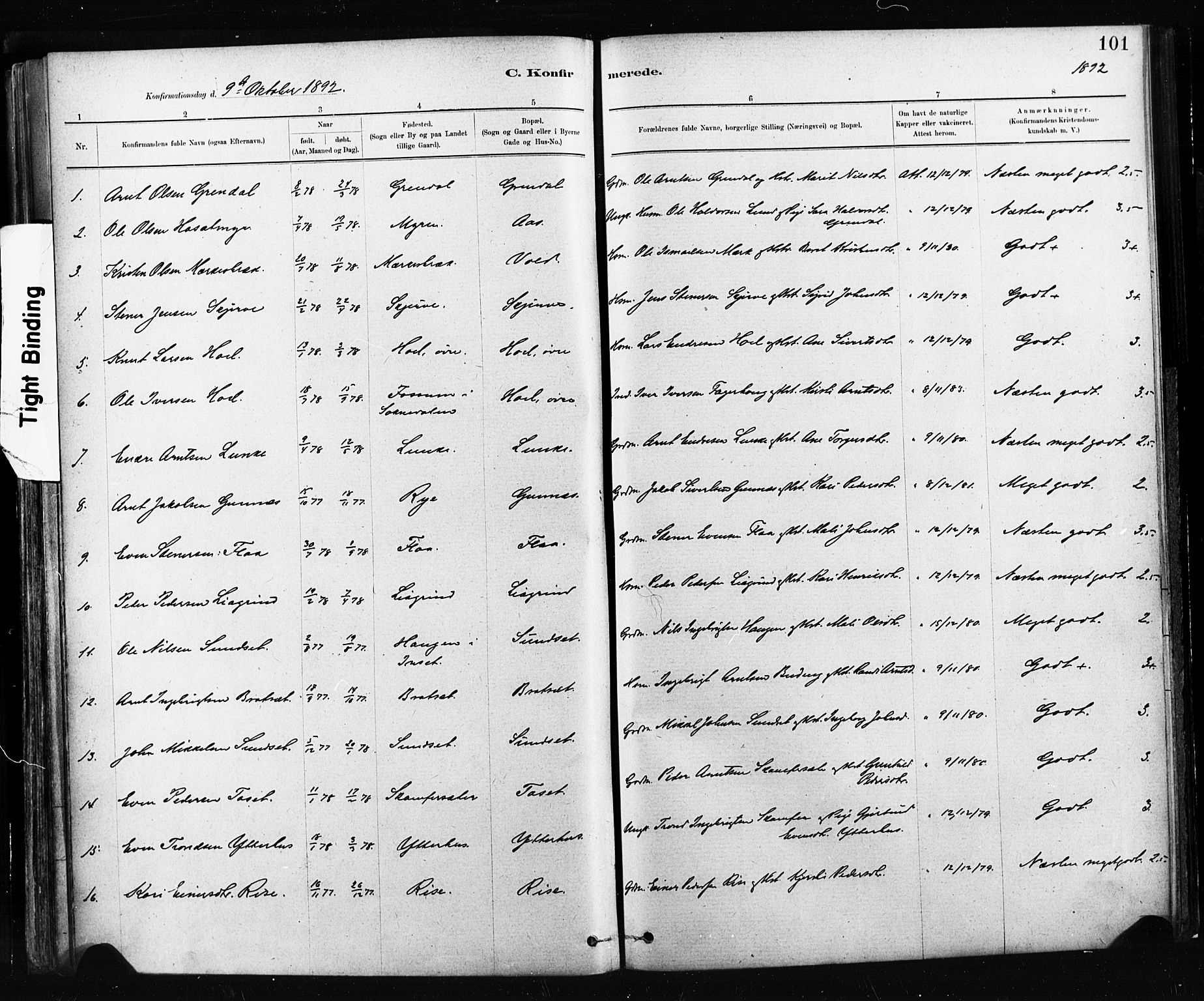 Ministerialprotokoller, klokkerbøker og fødselsregistre - Sør-Trøndelag, AV/SAT-A-1456/674/L0871: Ministerialbok nr. 674A03, 1880-1896, s. 101