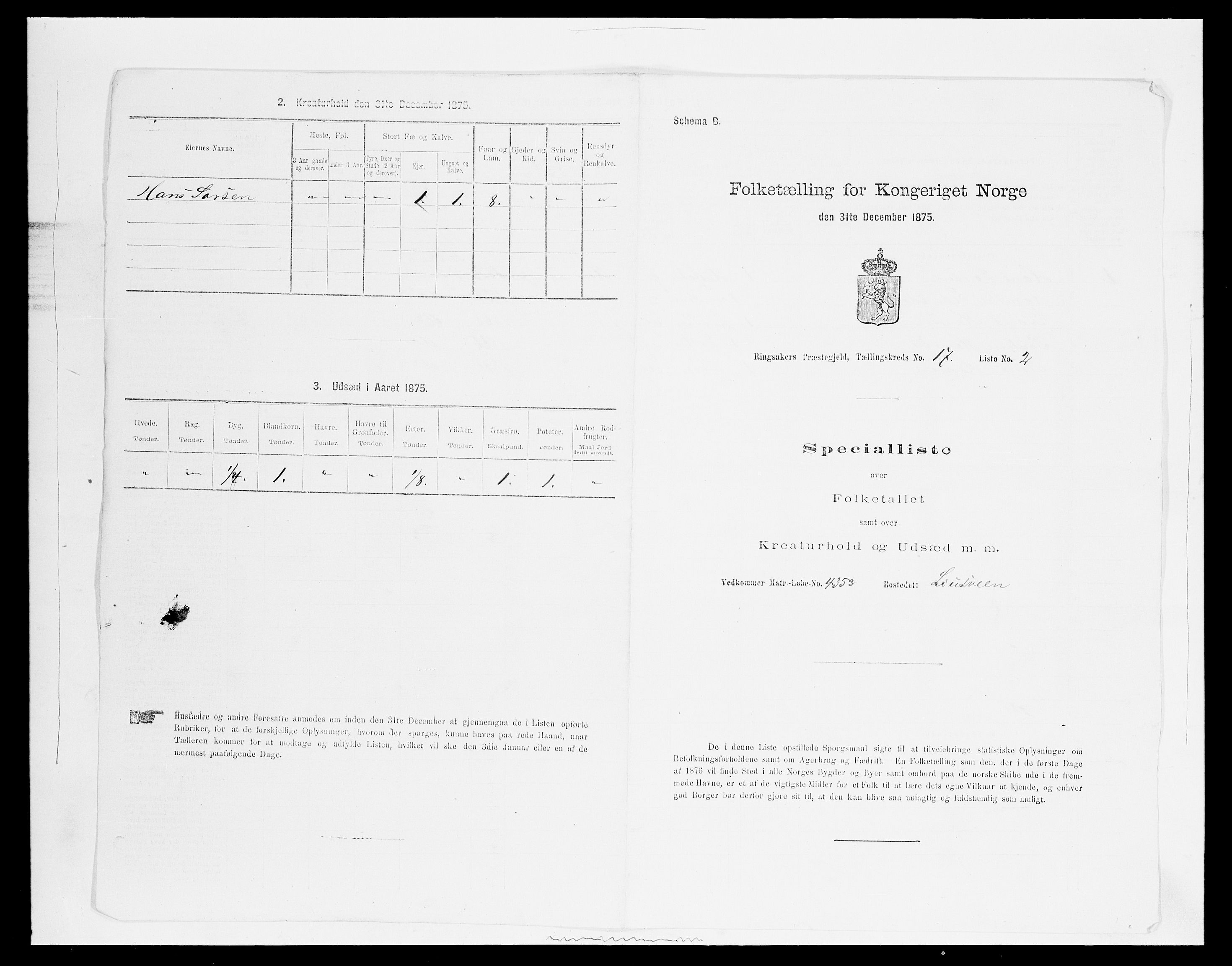 SAH, Folketelling 1875 for 0412P Ringsaker prestegjeld, 1875, s. 3393