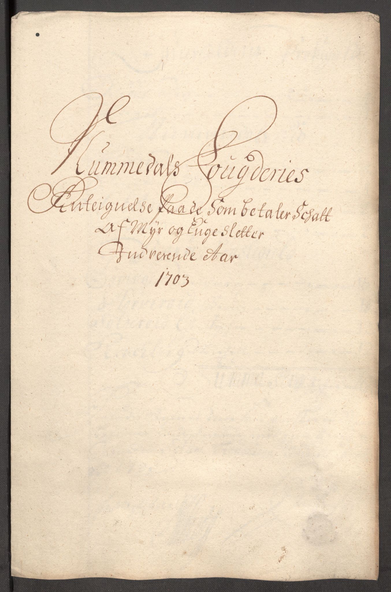 Rentekammeret inntil 1814, Reviderte regnskaper, Fogderegnskap, RA/EA-4092/R64/L4428: Fogderegnskap Namdal, 1703-1704, s. 84