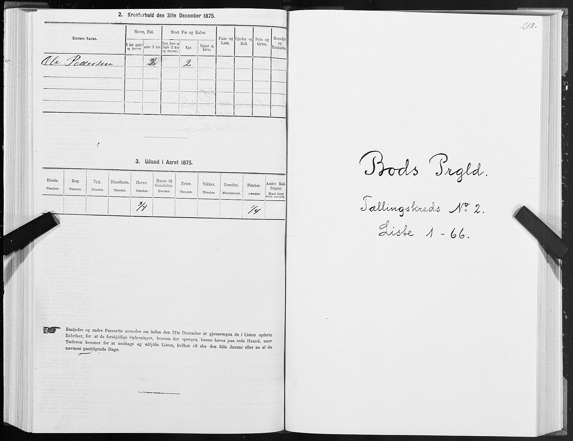 SAT, Folketelling 1875 for 1549P Bud prestegjeld, 1875, s. 1213