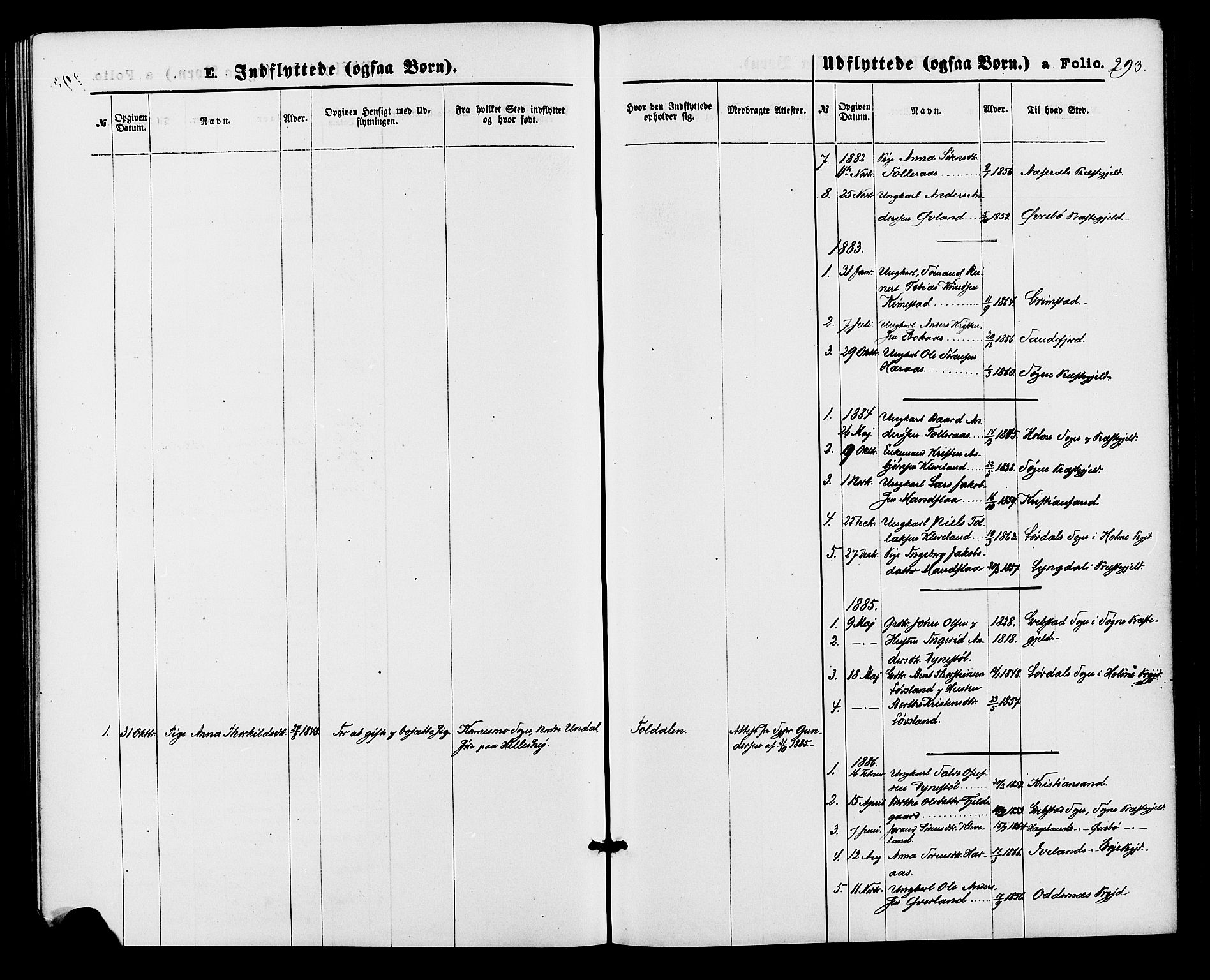 Bjelland sokneprestkontor, AV/SAK-1111-0005/F/Fa/Fab/L0003: Ministerialbok nr. A 3, 1870-1887, s. 293