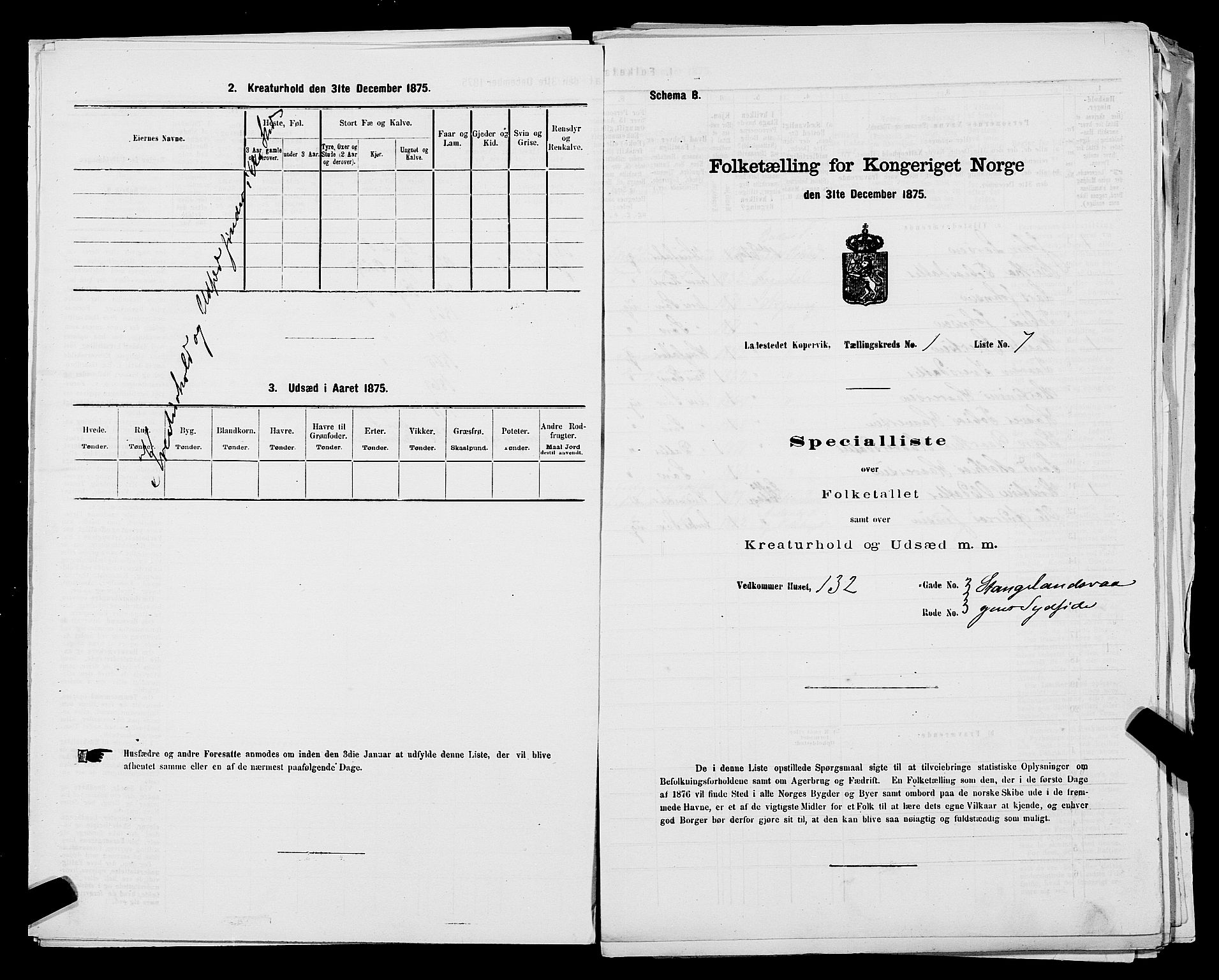 SAST, Folketelling 1875 for 1105B Avaldsnes prestegjeld, Kopervik ladested, 1875, s. 14