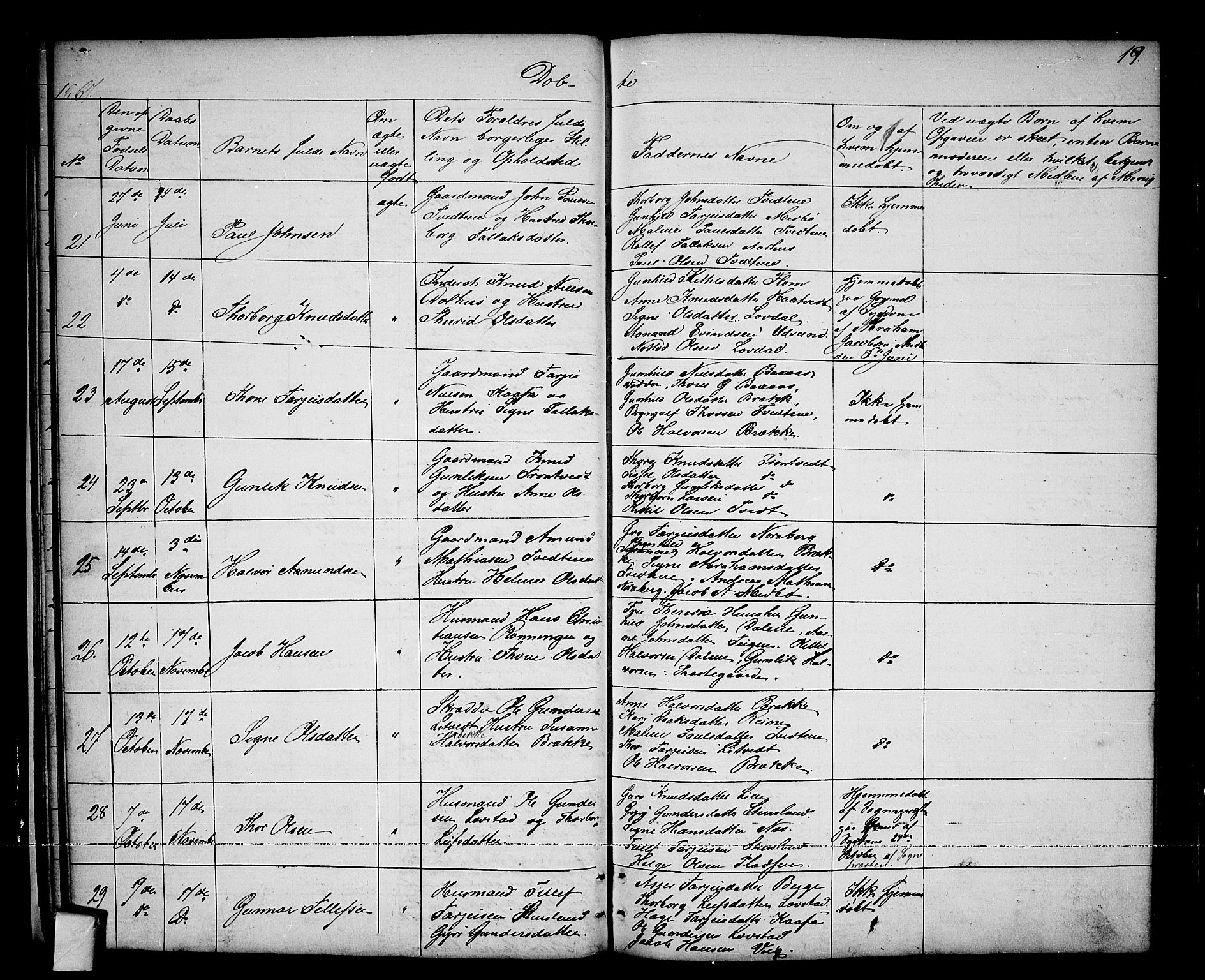 Nissedal kirkebøker, AV/SAKO-A-288/G/Ga/L0002: Klokkerbok nr. I 2, 1861-1887, s. 19