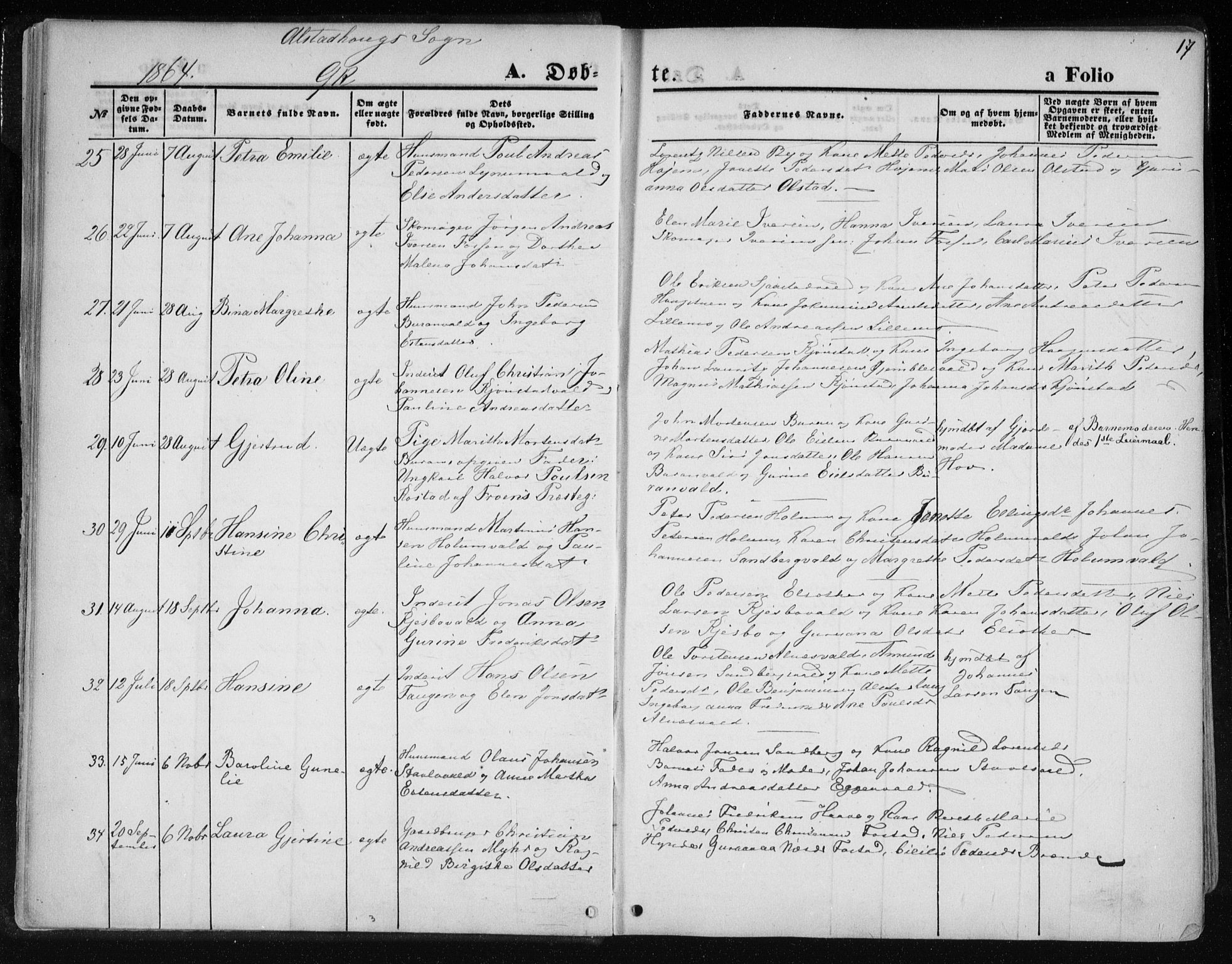 Ministerialprotokoller, klokkerbøker og fødselsregistre - Nord-Trøndelag, SAT/A-1458/717/L0157: Ministerialbok nr. 717A08 /1, 1863-1877, s. 17
