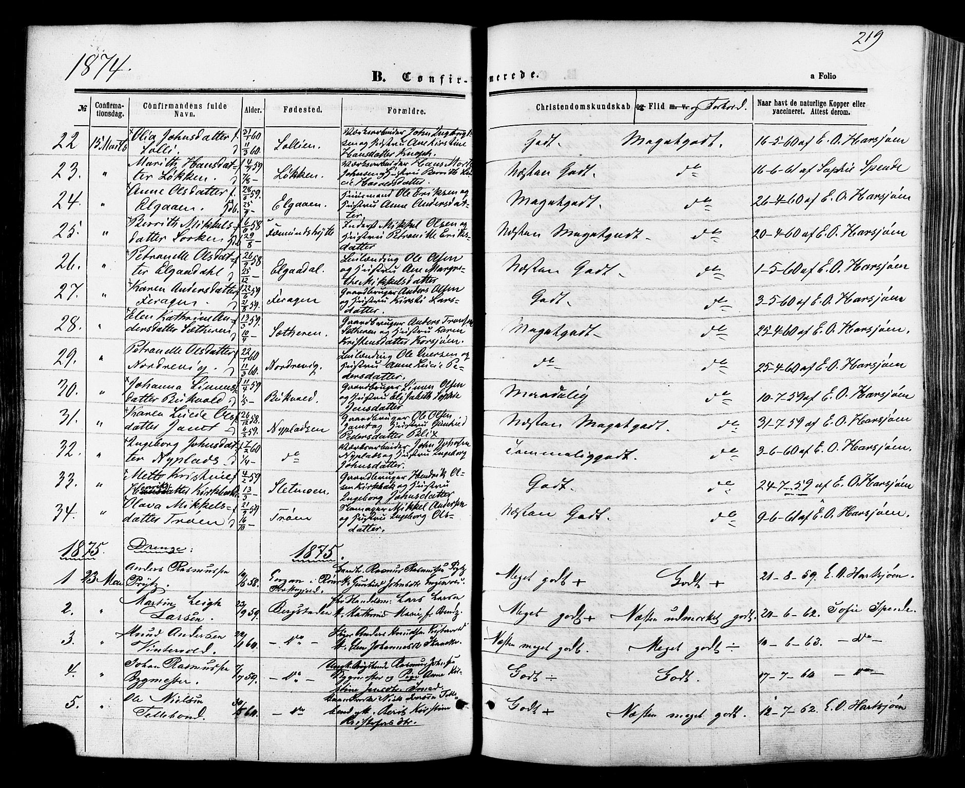 Ministerialprotokoller, klokkerbøker og fødselsregistre - Sør-Trøndelag, SAT/A-1456/681/L0932: Ministerialbok nr. 681A10, 1860-1878, s. 219