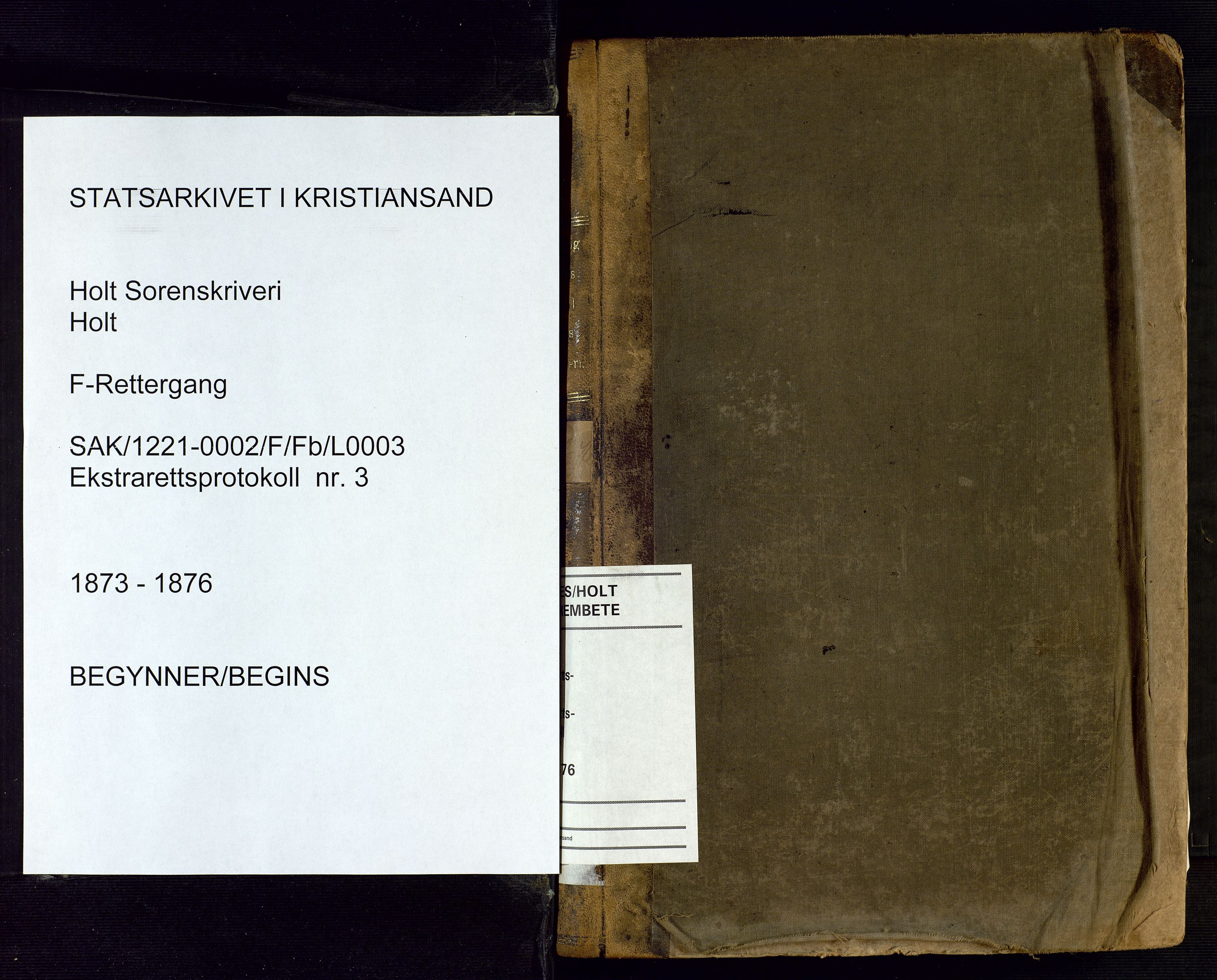Holt sorenskriveri, SAK/1221-0002/F/Fb/L0003: Ekstraretts- og forhørsrettsprotokoll nr 3, 1873-1876