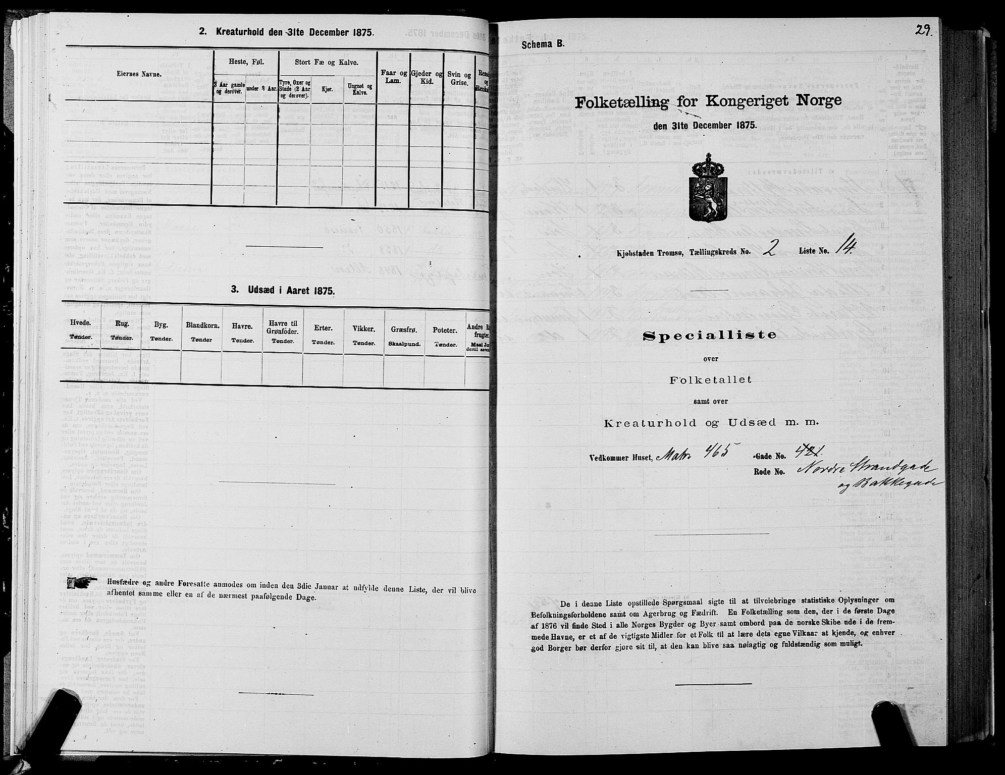 SATØ, Folketelling 1875 for 1902P Tromsø prestegjeld, 1875, s. 2029