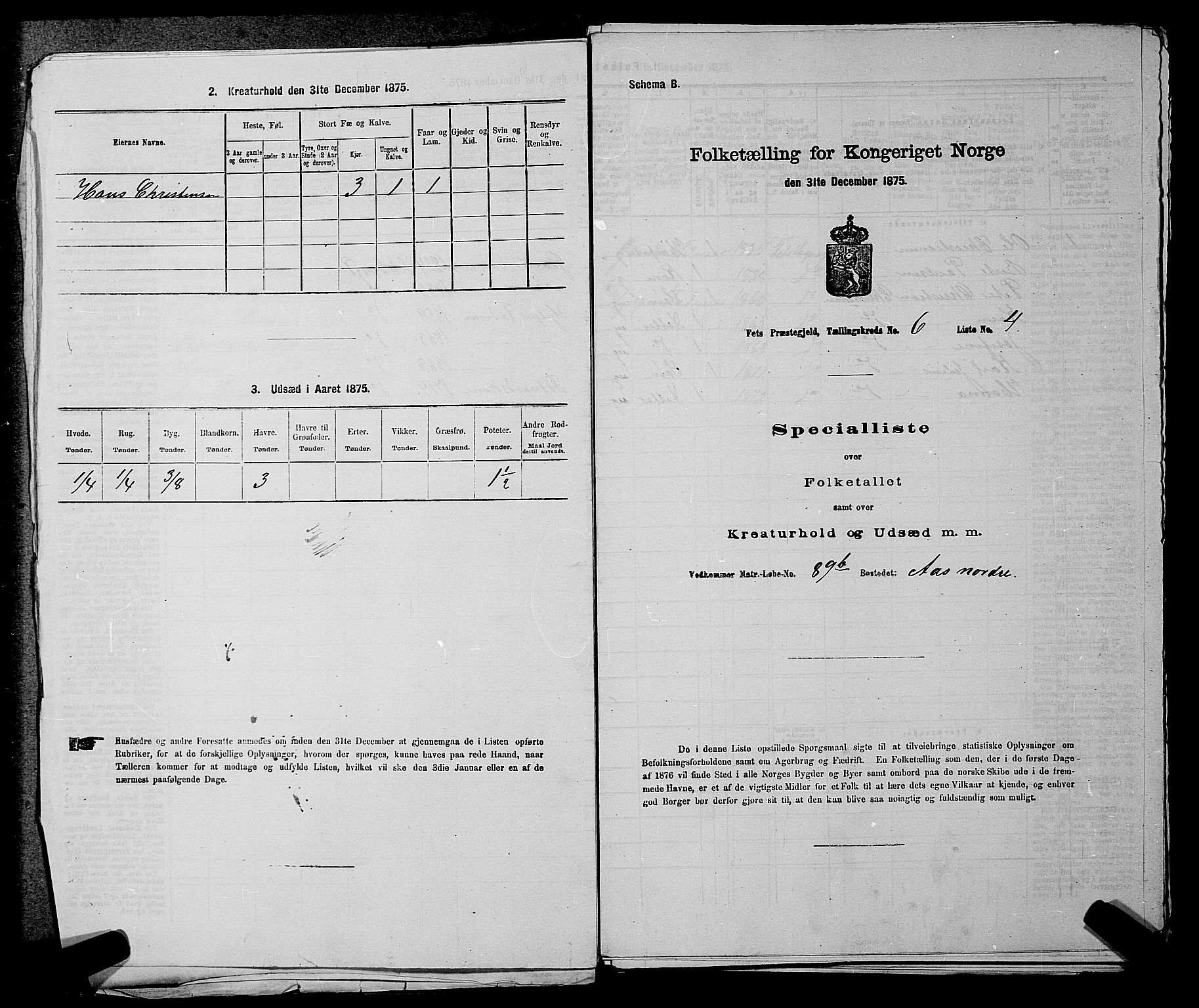 RA, Folketelling 1875 for 0227P Fet prestegjeld, 1875, s. 806