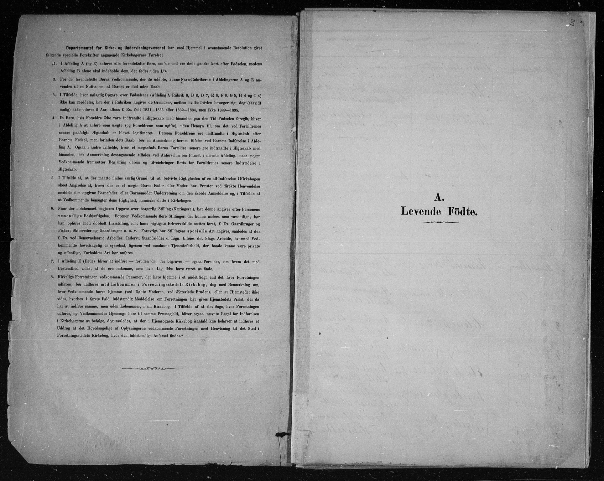 Nes kirkebøker, AV/SAKO-A-236/F/Fa/L0011: Ministerialbok nr. 11, 1881-1912, s. 3