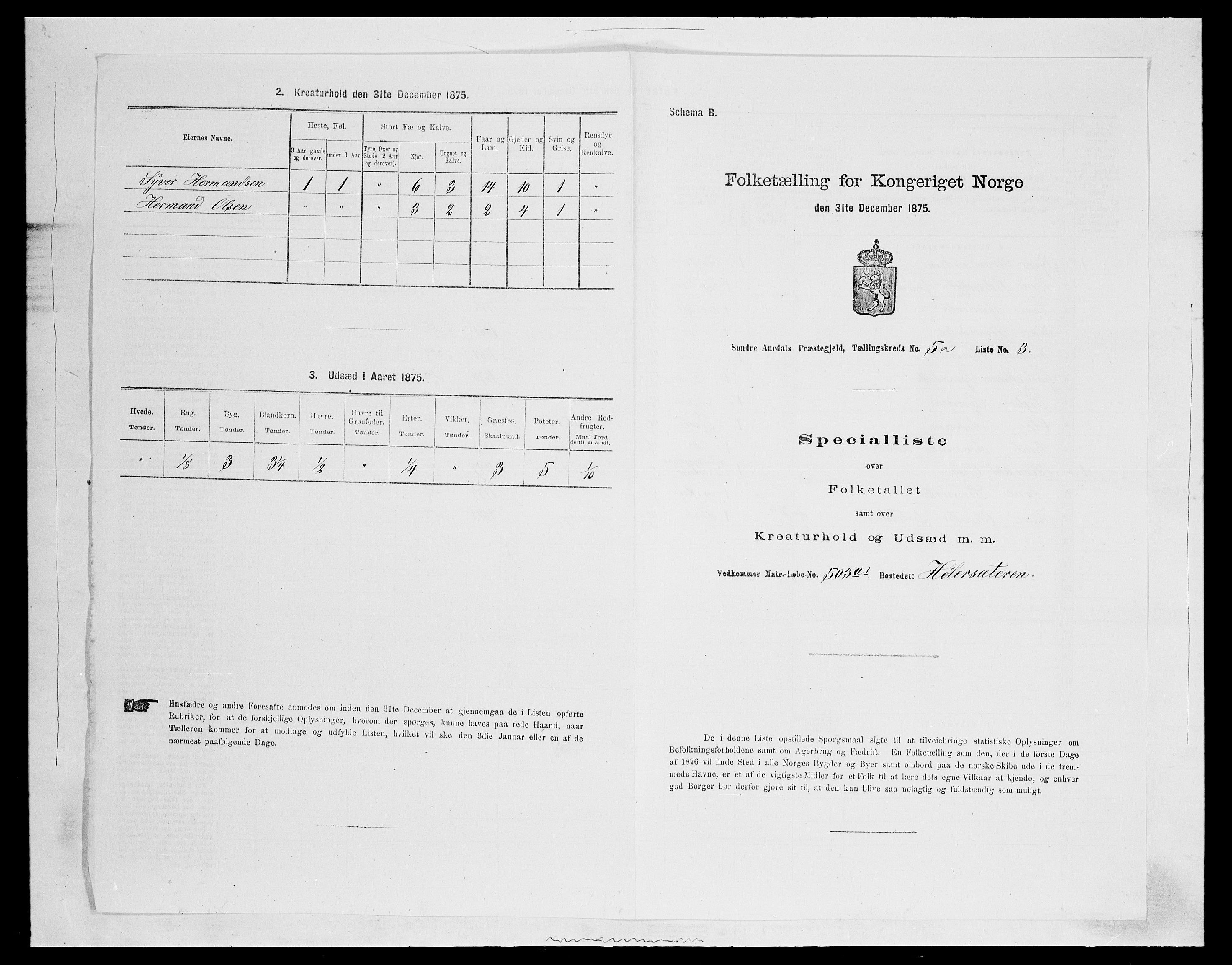 SAH, Folketelling 1875 for 0540P Sør-Aurdal prestegjeld, 1875, s. 745