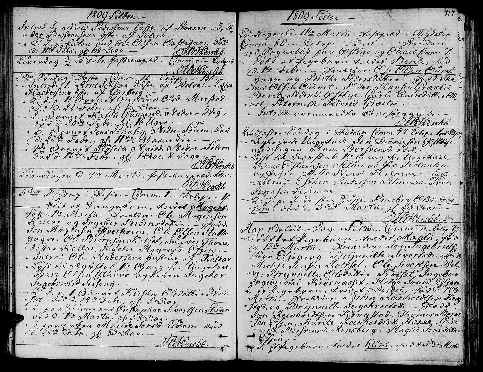 Ministerialprotokoller, klokkerbøker og fødselsregistre - Sør-Trøndelag, SAT/A-1456/695/L1140: Ministerialbok nr. 695A03, 1801-1815, s. 117