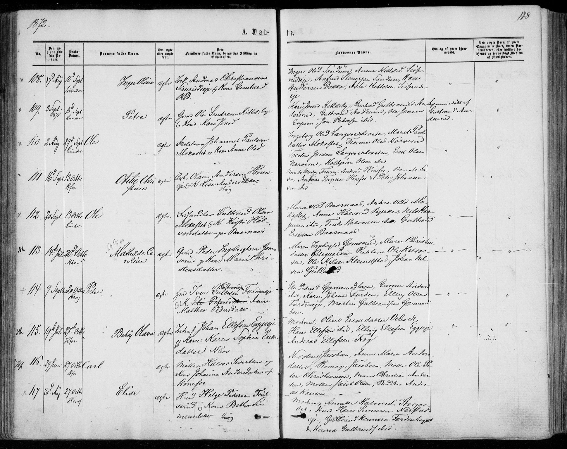 Norderhov kirkebøker, AV/SAKO-A-237/F/Fa/L0013: Ministerialbok nr. 13, 1866-1874, s. 118