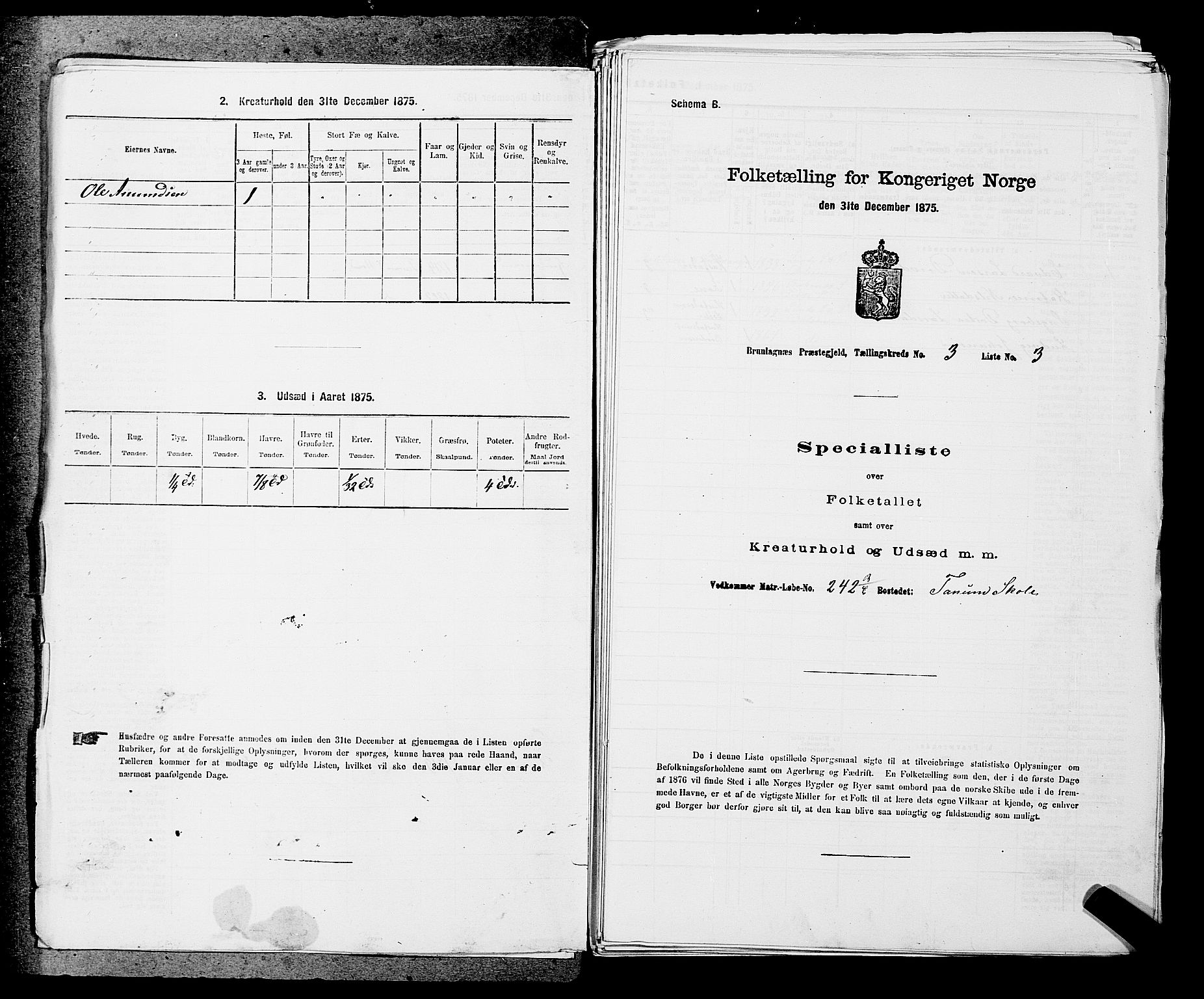 SAKO, Folketelling 1875 for 0726P Brunlanes prestegjeld, 1875, s. 326