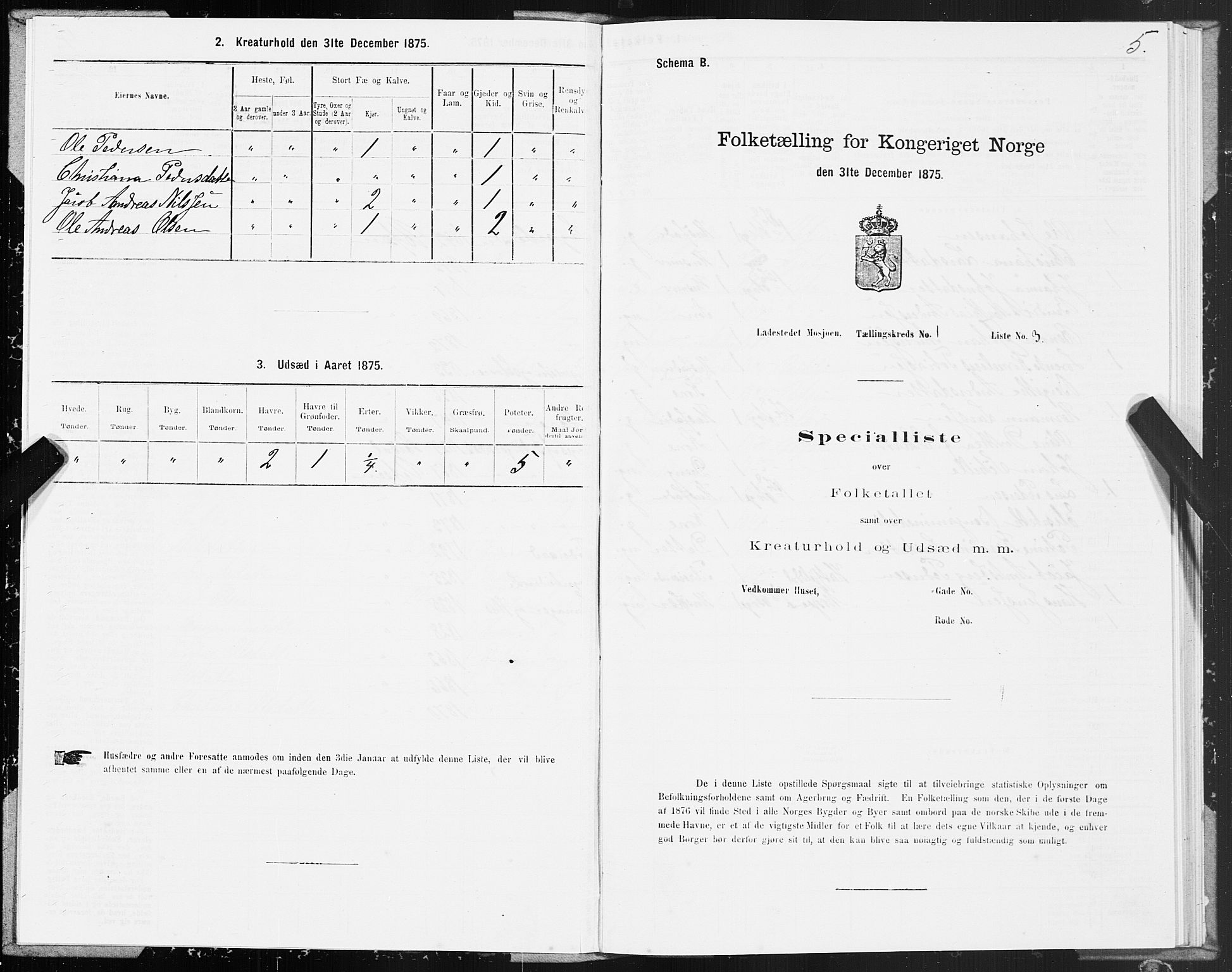 SAT, Folketelling 1875 for 1802B Vefsn prestegjeld, Mosjøen ladested, 1875, s. 5