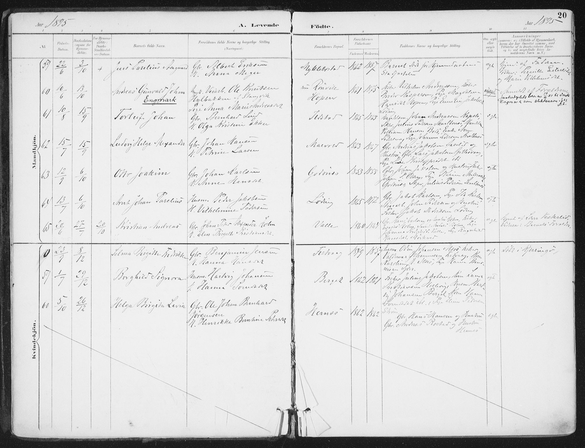 Ministerialprotokoller, klokkerbøker og fødselsregistre - Nordland, SAT/A-1459/802/L0055: Ministerialbok nr. 802A02, 1894-1915, s. 20