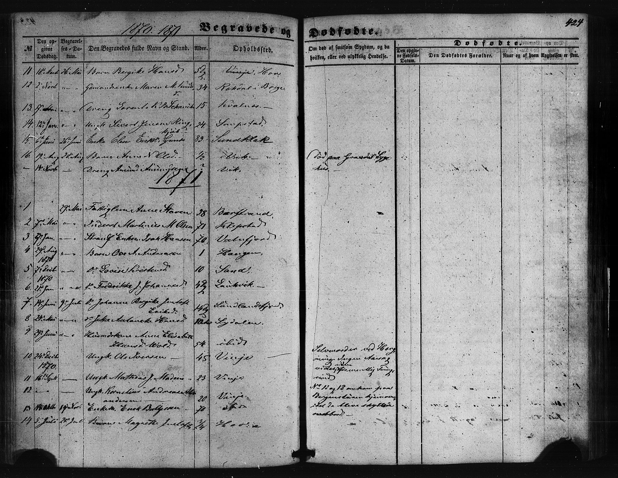 Ministerialprotokoller, klokkerbøker og fødselsregistre - Nordland, SAT/A-1459/876/L1095: Ministerialbok nr. 876A01, 1863-1885, s. 424