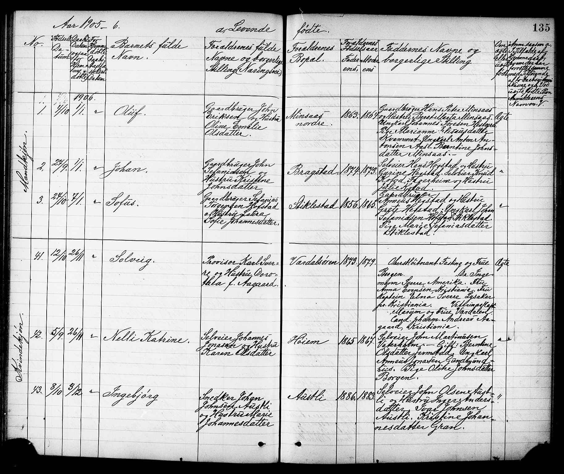 Ministerialprotokoller, klokkerbøker og fødselsregistre - Nord-Trøndelag, AV/SAT-A-1458/723/L0257: Klokkerbok nr. 723C05, 1890-1907, s. 135