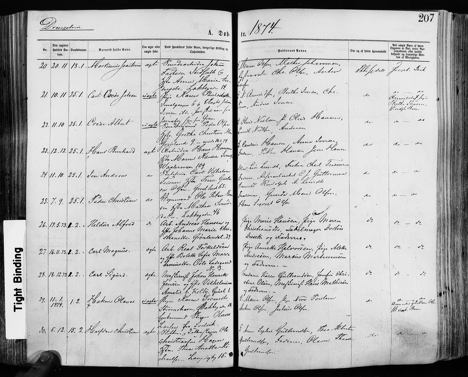 Grønland prestekontor Kirkebøker, SAO/A-10848/F/Fa/L0004: Ministerialbok nr. 4, 1869-1880, s. 207