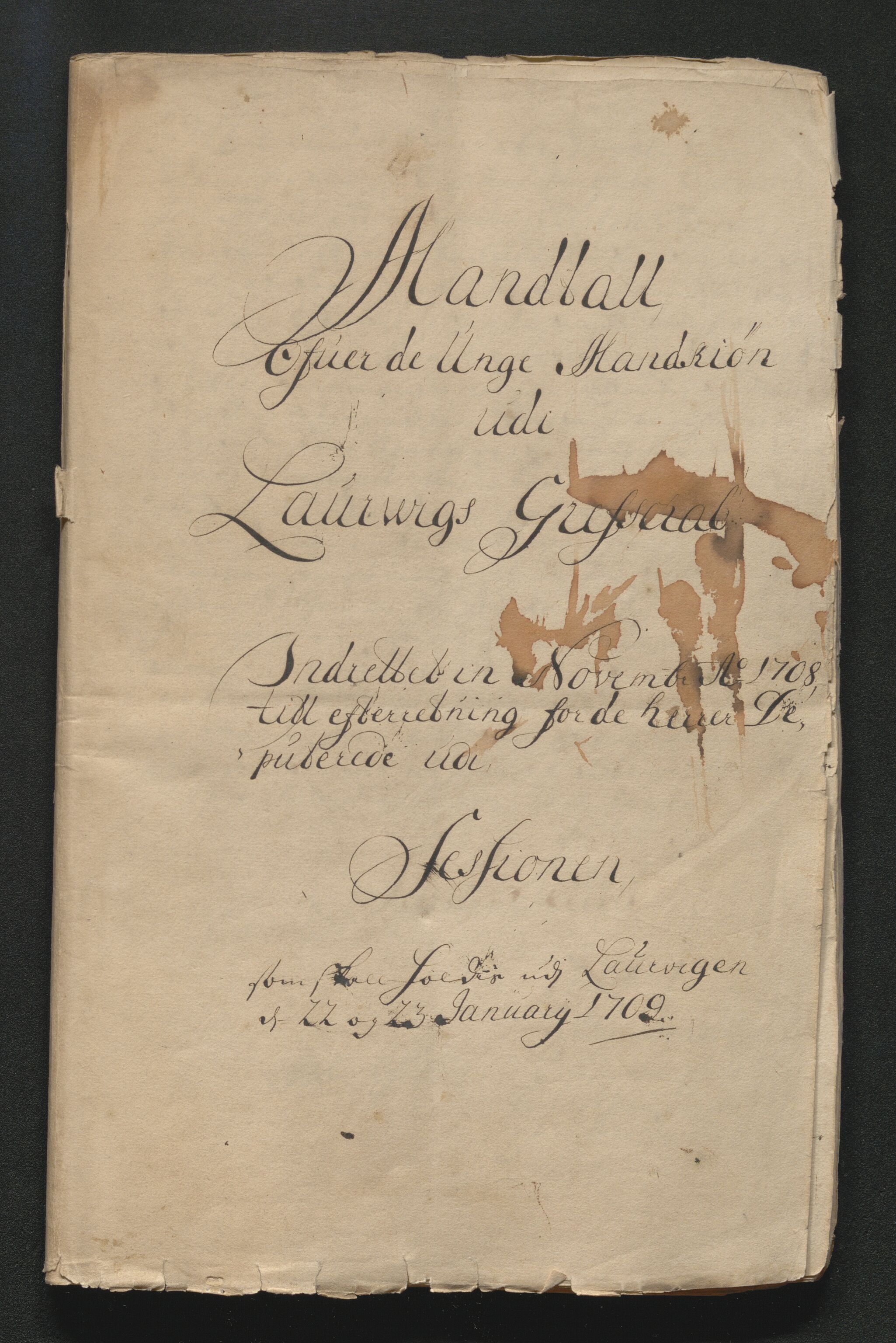 Larvik grevskap, AV/SAKO-A-1056/F/Ff/Ffa/L0001: Ruller og manntall, 1708-1734, s. 15
