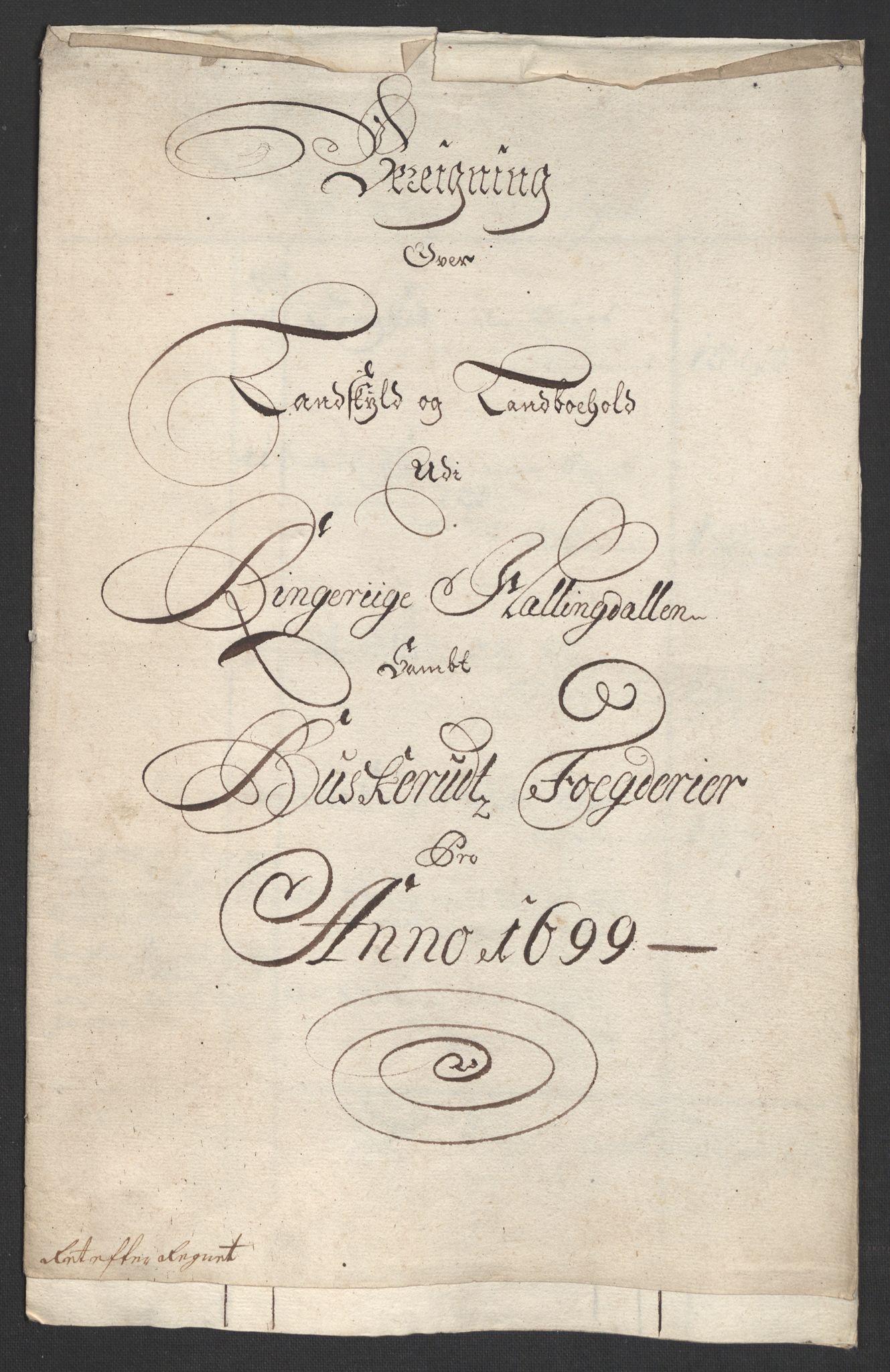 Rentekammeret inntil 1814, Reviderte regnskaper, Fogderegnskap, RA/EA-4092/R22/L1456: Fogderegnskap Ringerike, Hallingdal og Buskerud, 1699, s. 19
