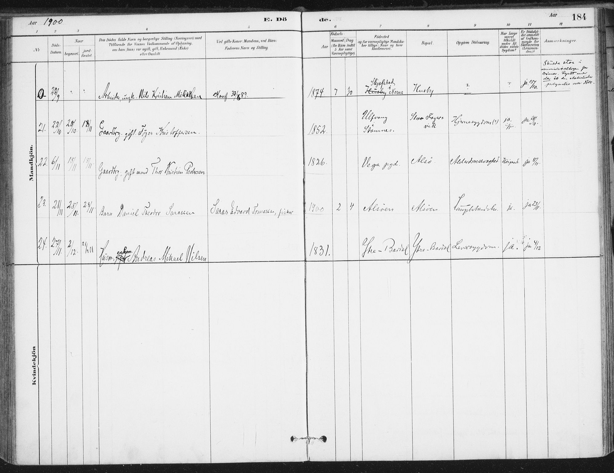 Ministerialprotokoller, klokkerbøker og fødselsregistre - Nordland, SAT/A-1459/838/L0553: Ministerialbok nr. 838A11, 1880-1910, s. 184