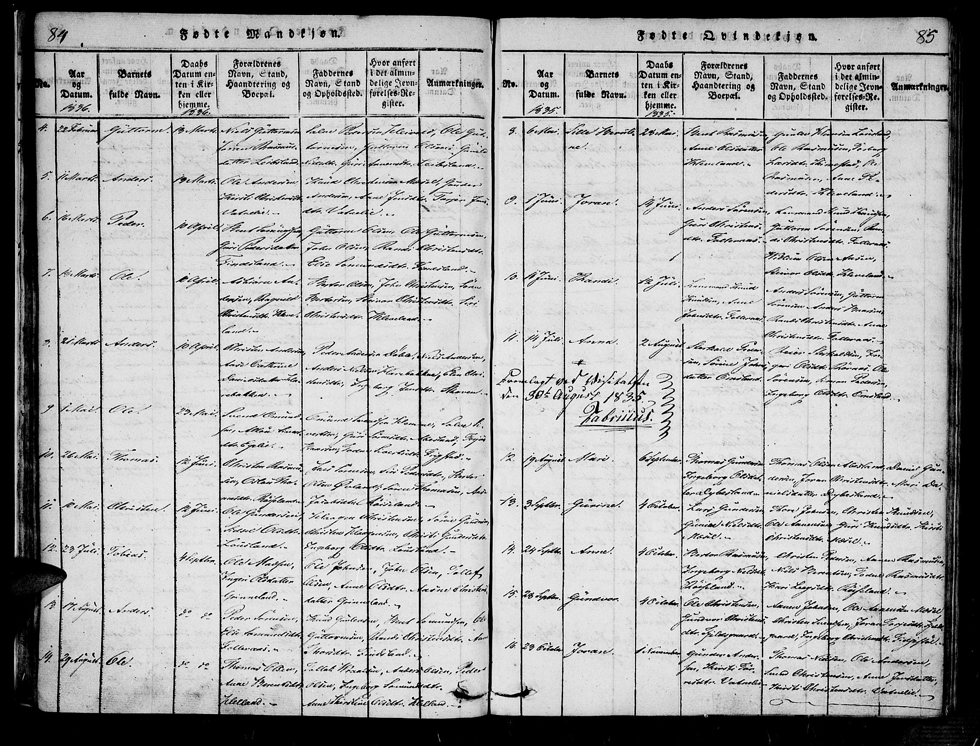 Bjelland sokneprestkontor, SAK/1111-0005/F/Fa/Fab/L0002: Ministerialbok nr. A 2, 1816-1869, s. 84-85