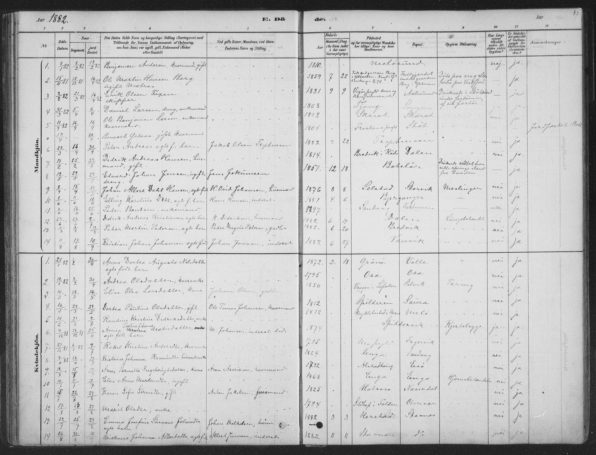 Ministerialprotokoller, klokkerbøker og fødselsregistre - Nordland, SAT/A-1459/843/L0627: Ministerialbok nr. 843A02, 1878-1908, s. 85
