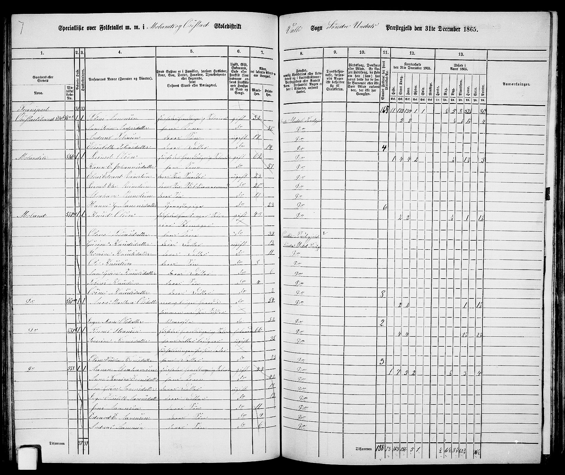 RA, Folketelling 1865 for 1029P Sør-Audnedal prestegjeld, 1865, s. 121