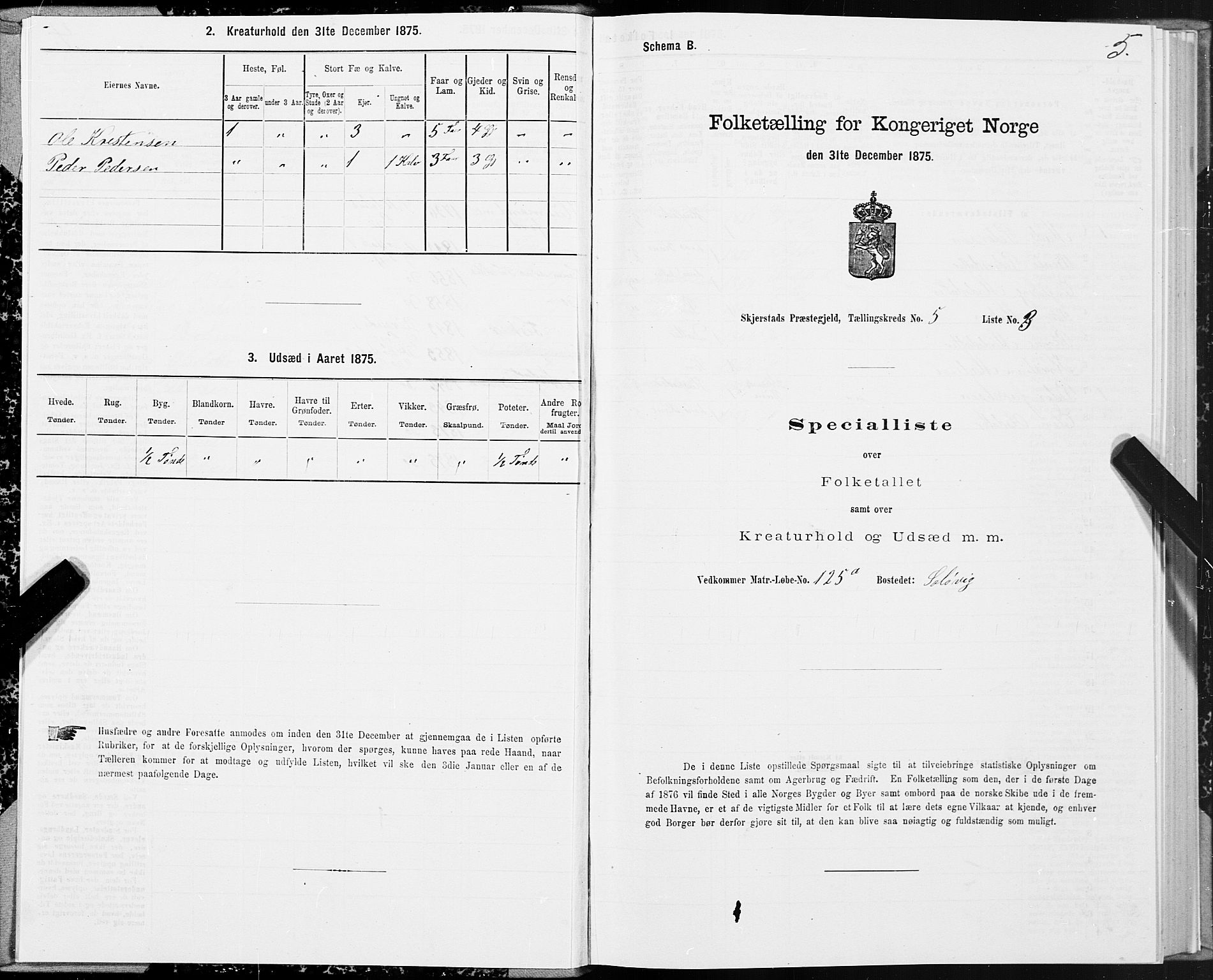 SAT, Folketelling 1875 for 1842P Skjerstad prestegjeld, 1875, s. 3005