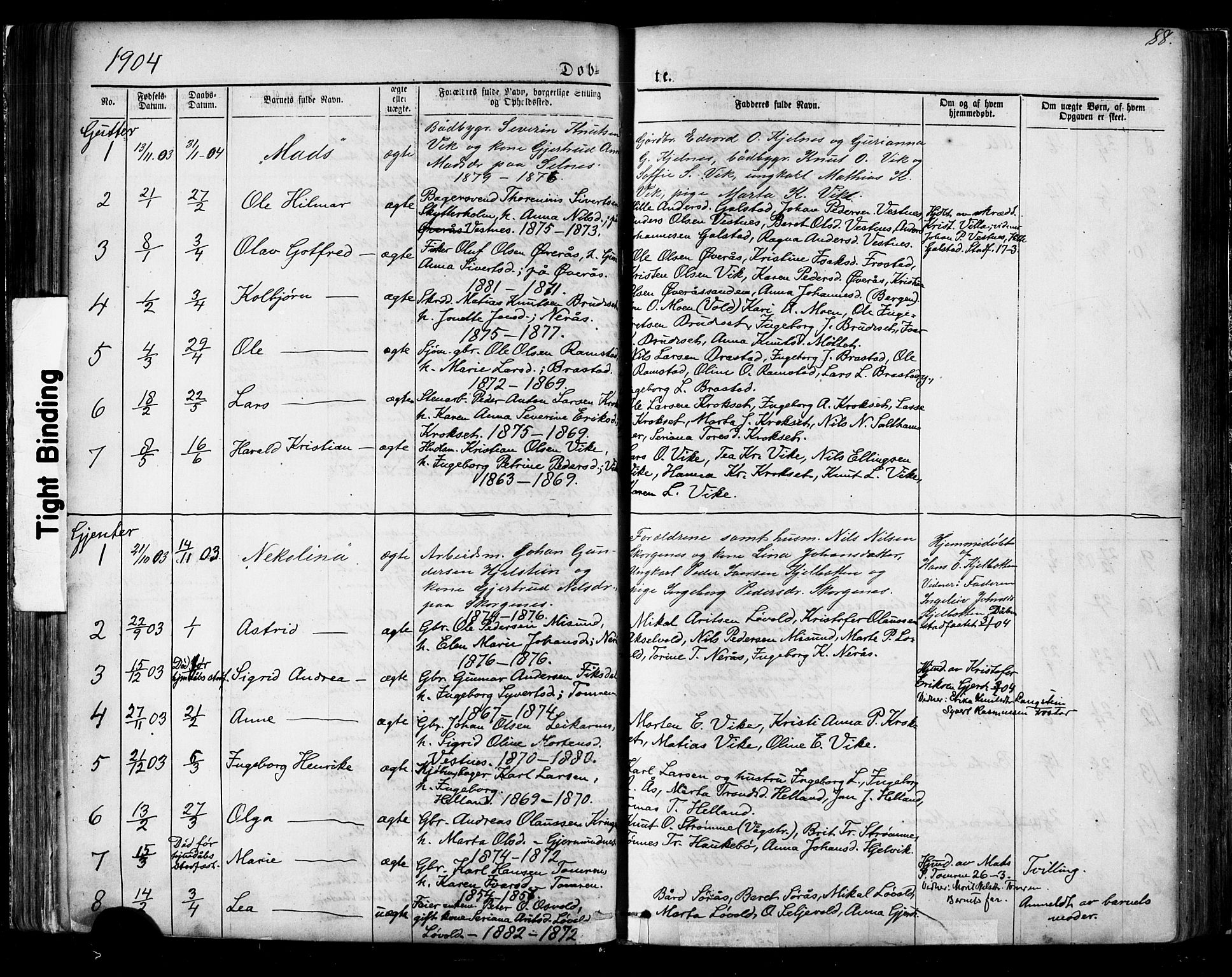 Ministerialprotokoller, klokkerbøker og fødselsregistre - Møre og Romsdal, SAT/A-1454/539/L0536: Klokkerbok nr. 539C02, 1867-1913, s. 88