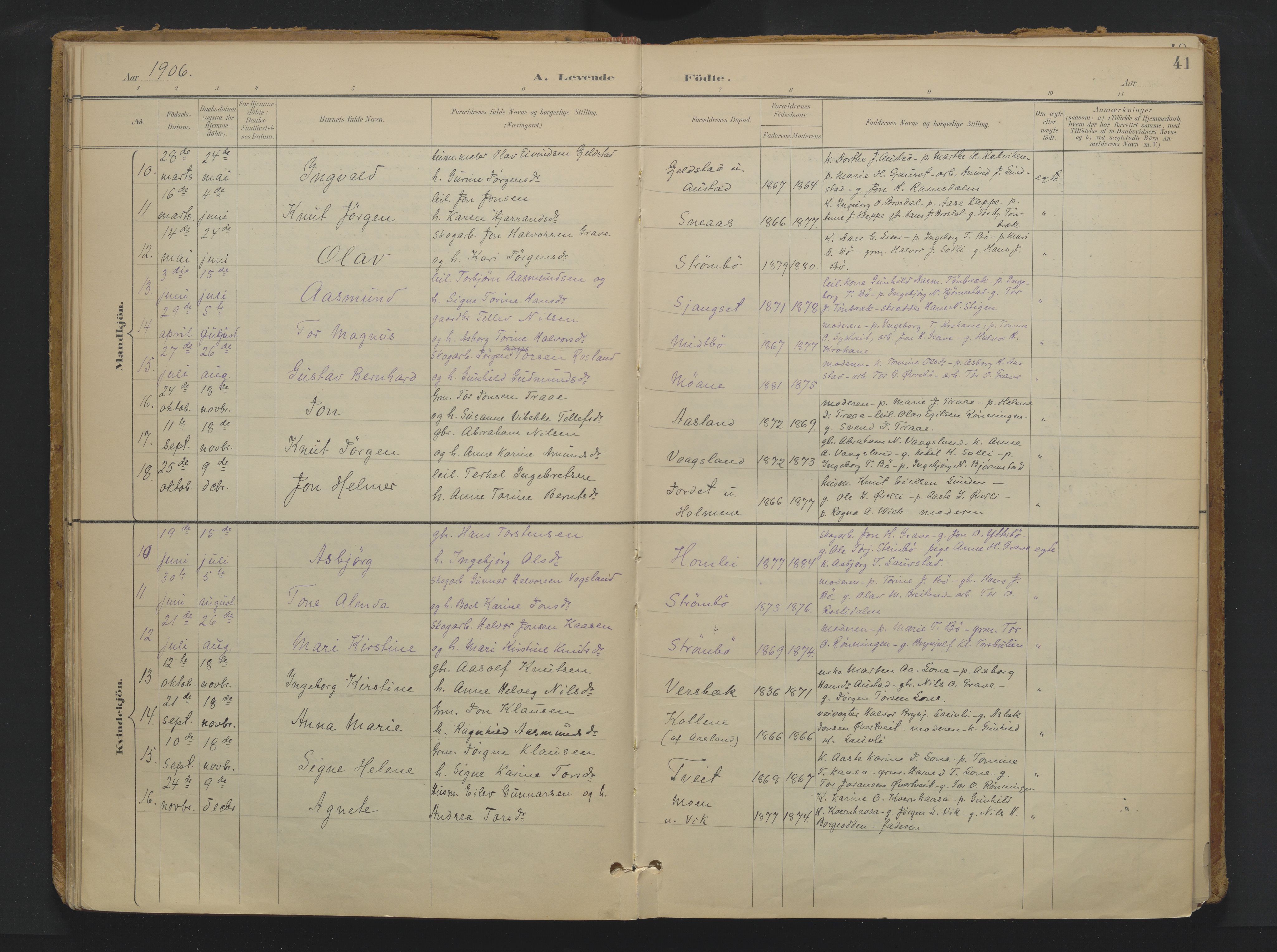 Drangedal kirkebøker, SAKO/A-258/F/Fa/L0013: Ministerialbok nr. 13, 1895-1919, s. 41