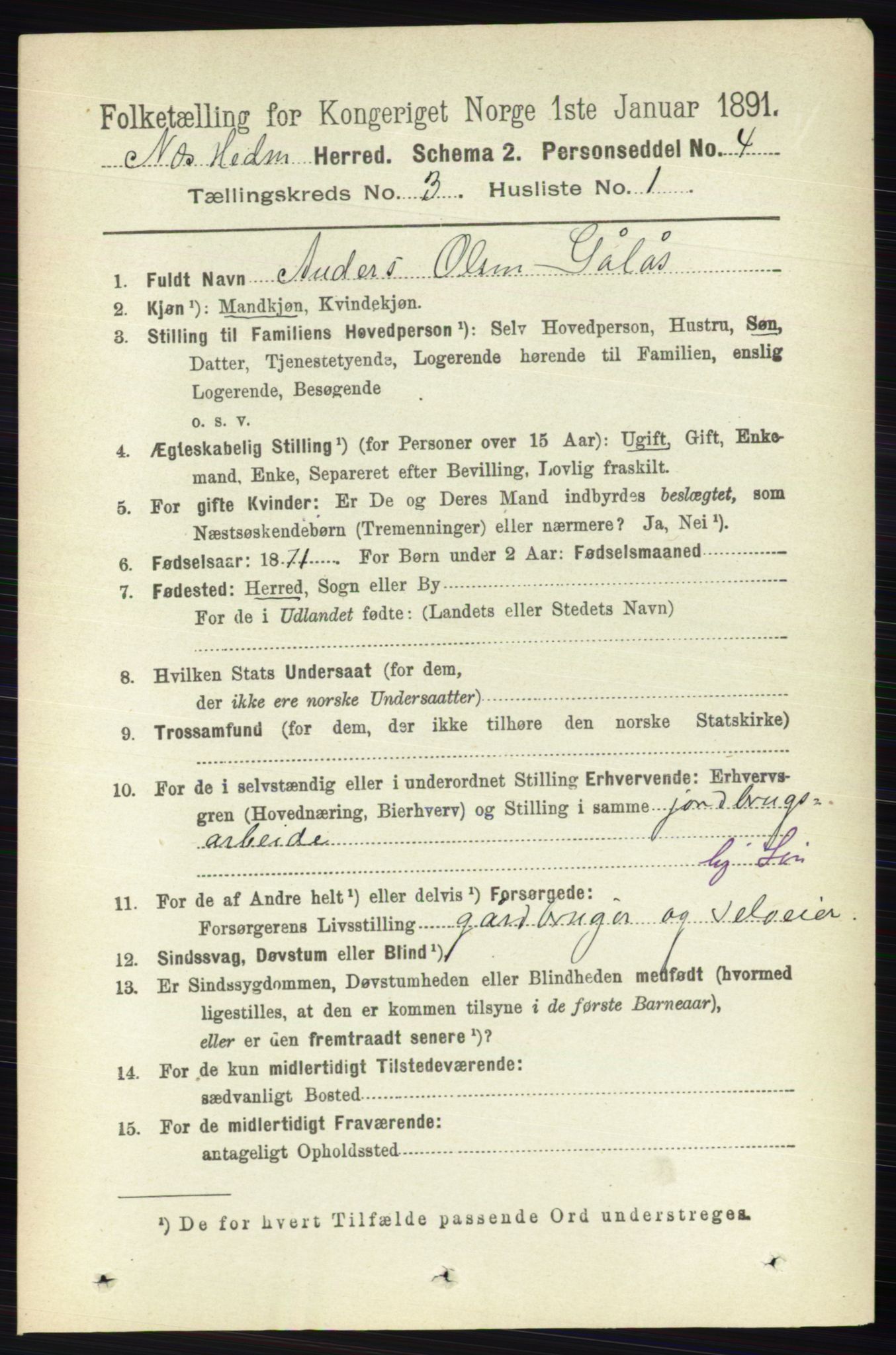 RA, Folketelling 1891 for 0411 Nes herred, 1891, s. 1591