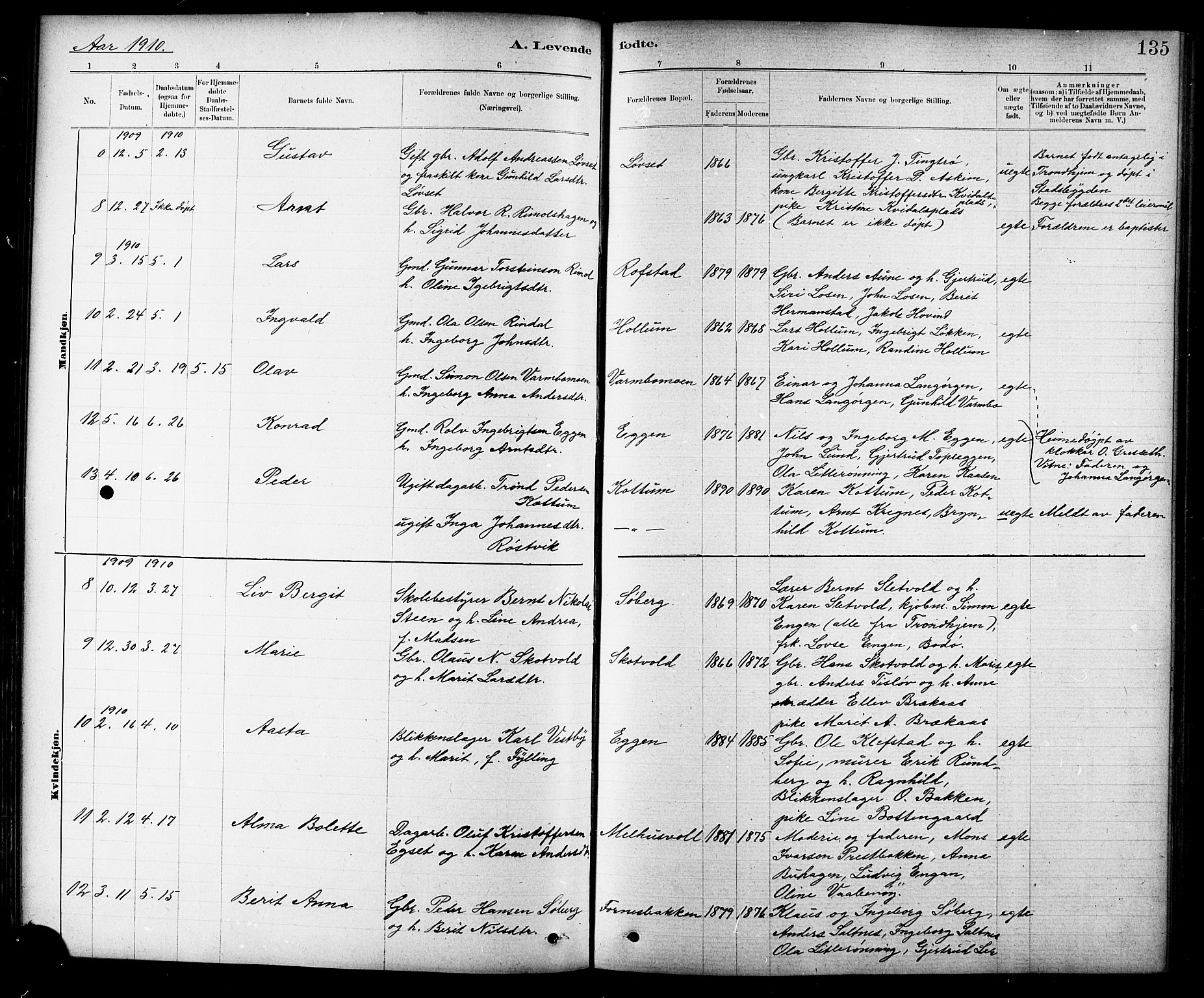 Ministerialprotokoller, klokkerbøker og fødselsregistre - Sør-Trøndelag, AV/SAT-A-1456/691/L1094: Klokkerbok nr. 691C05, 1879-1911, s. 135