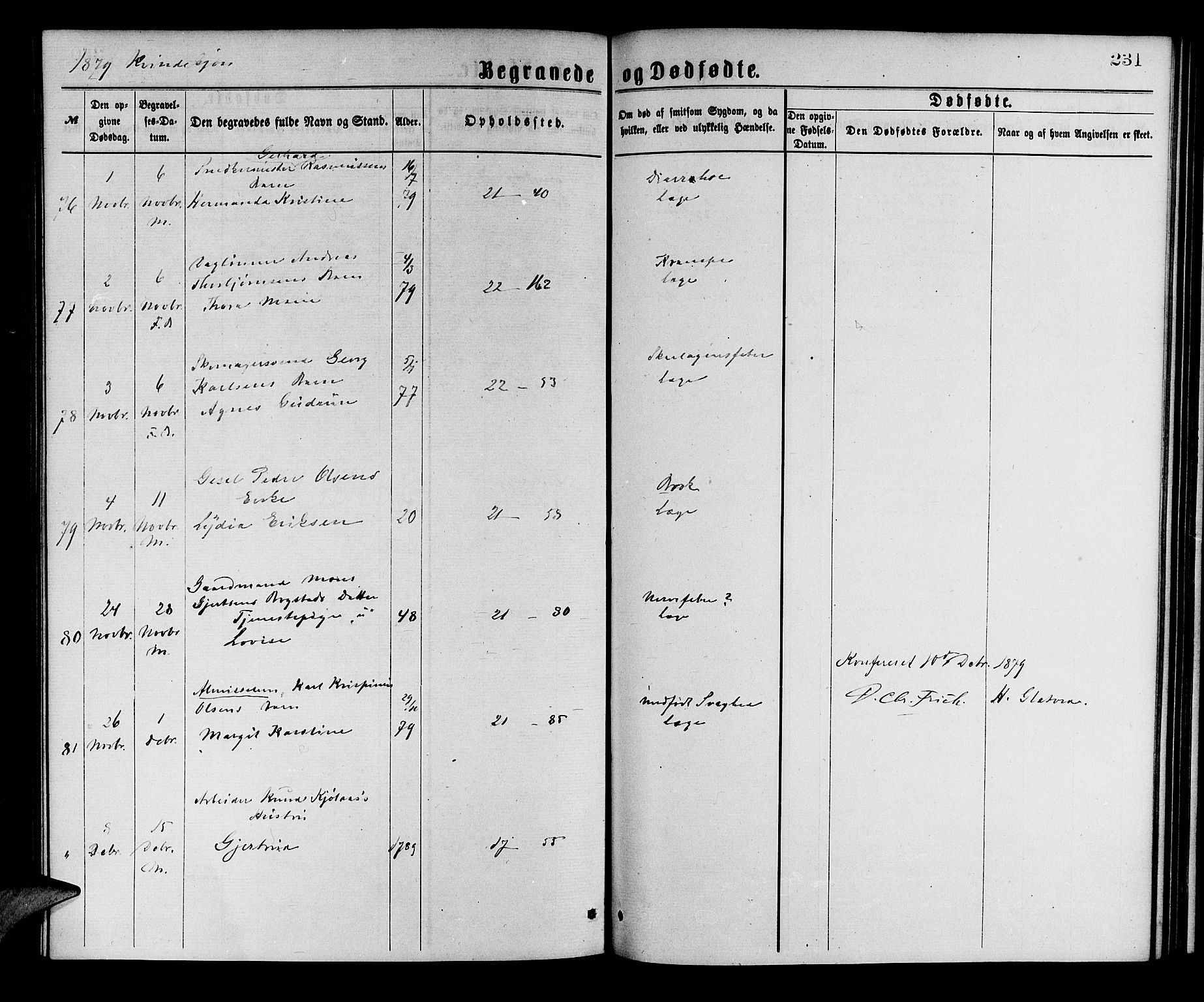 Korskirken sokneprestembete, AV/SAB-A-76101/H/Hab: Klokkerbok nr. E 3, 1871-1883, s. 231