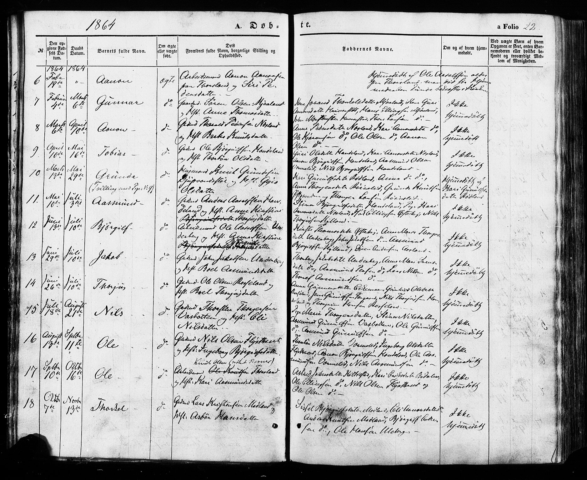 Åseral sokneprestkontor, AV/SAK-1111-0051/F/Fa/L0002: Ministerialbok nr. A 2, 1854-1884, s. 22